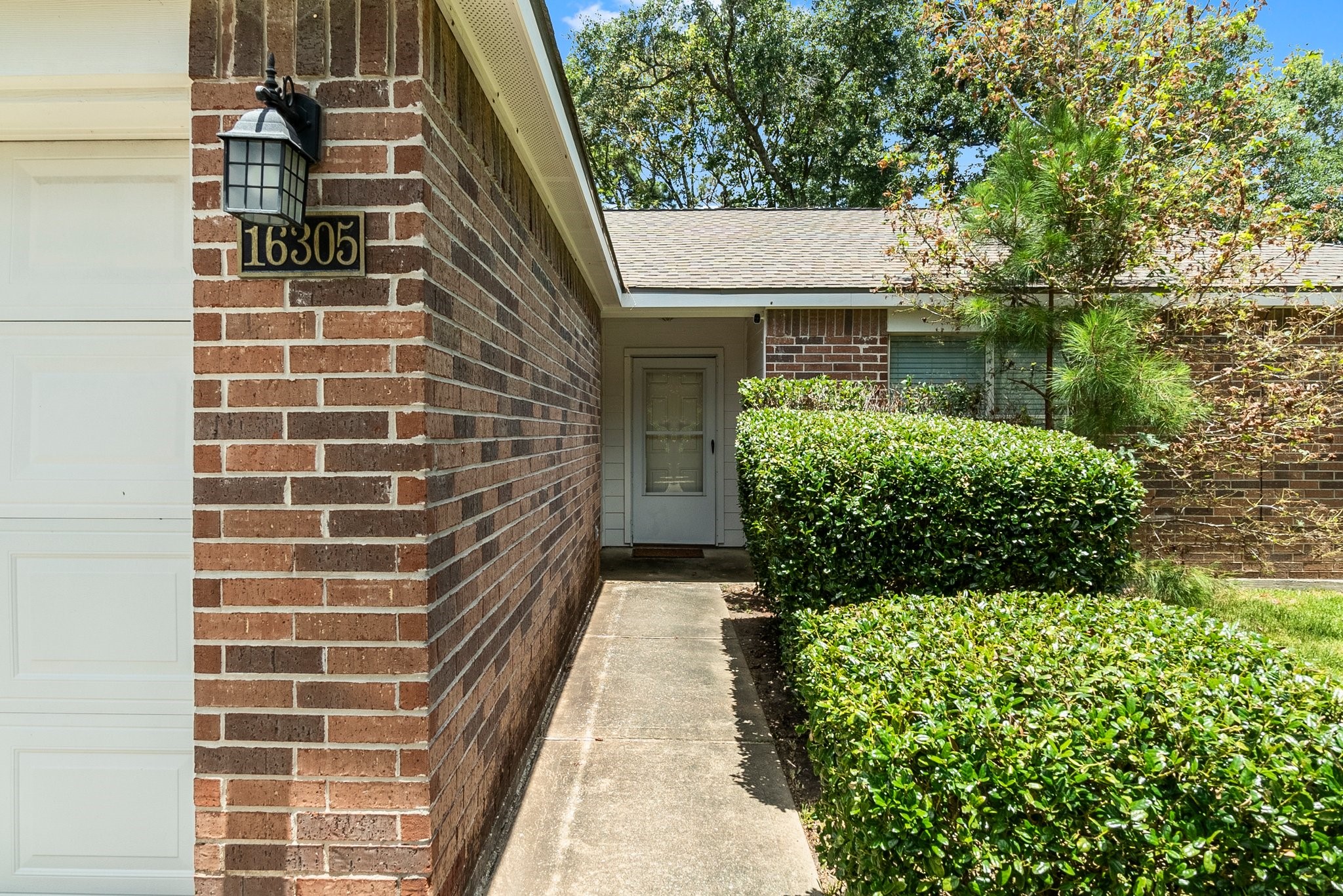 16305 Many Trees Lane Property Photo 5