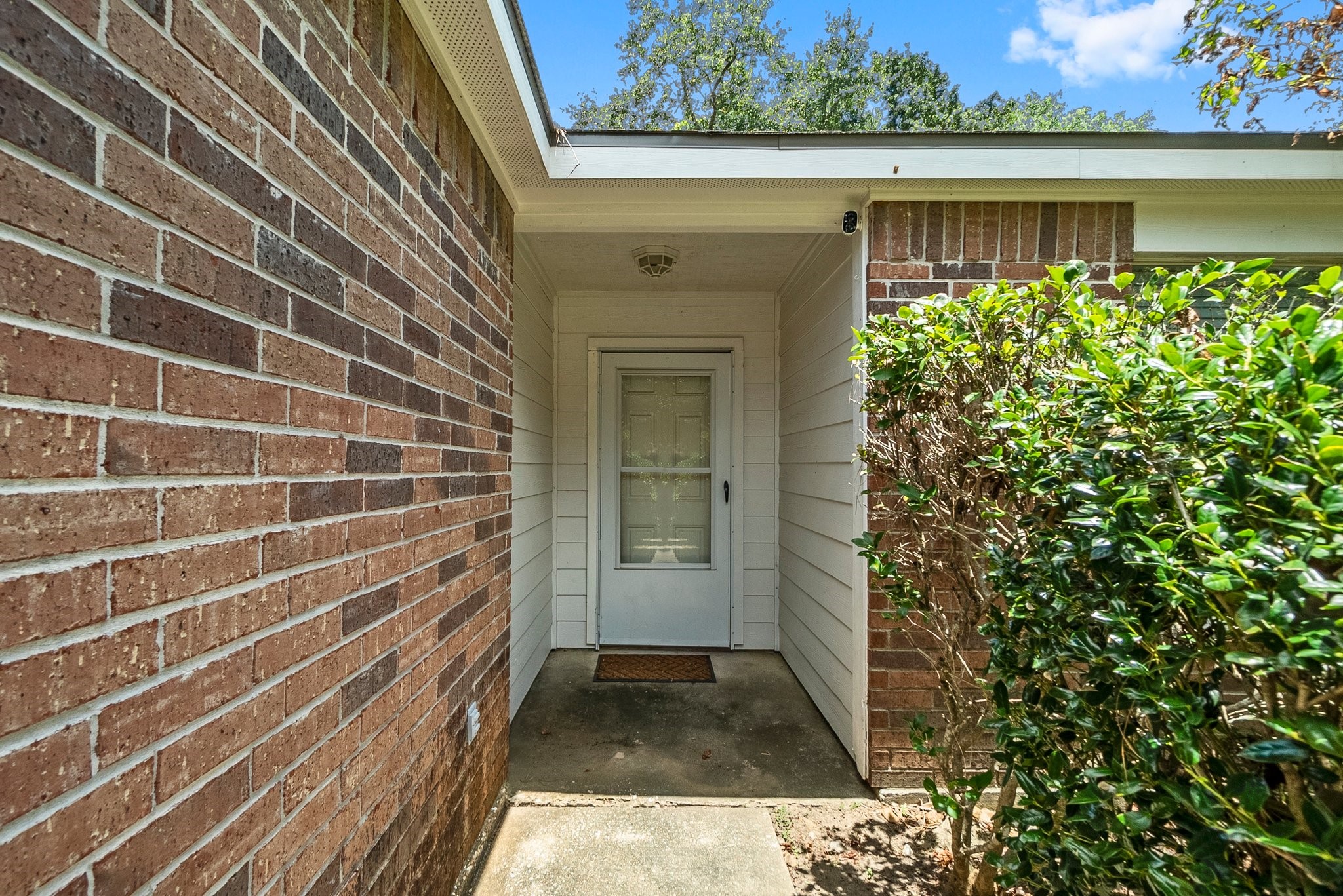 16305 Many Trees Lane Property Photo 6