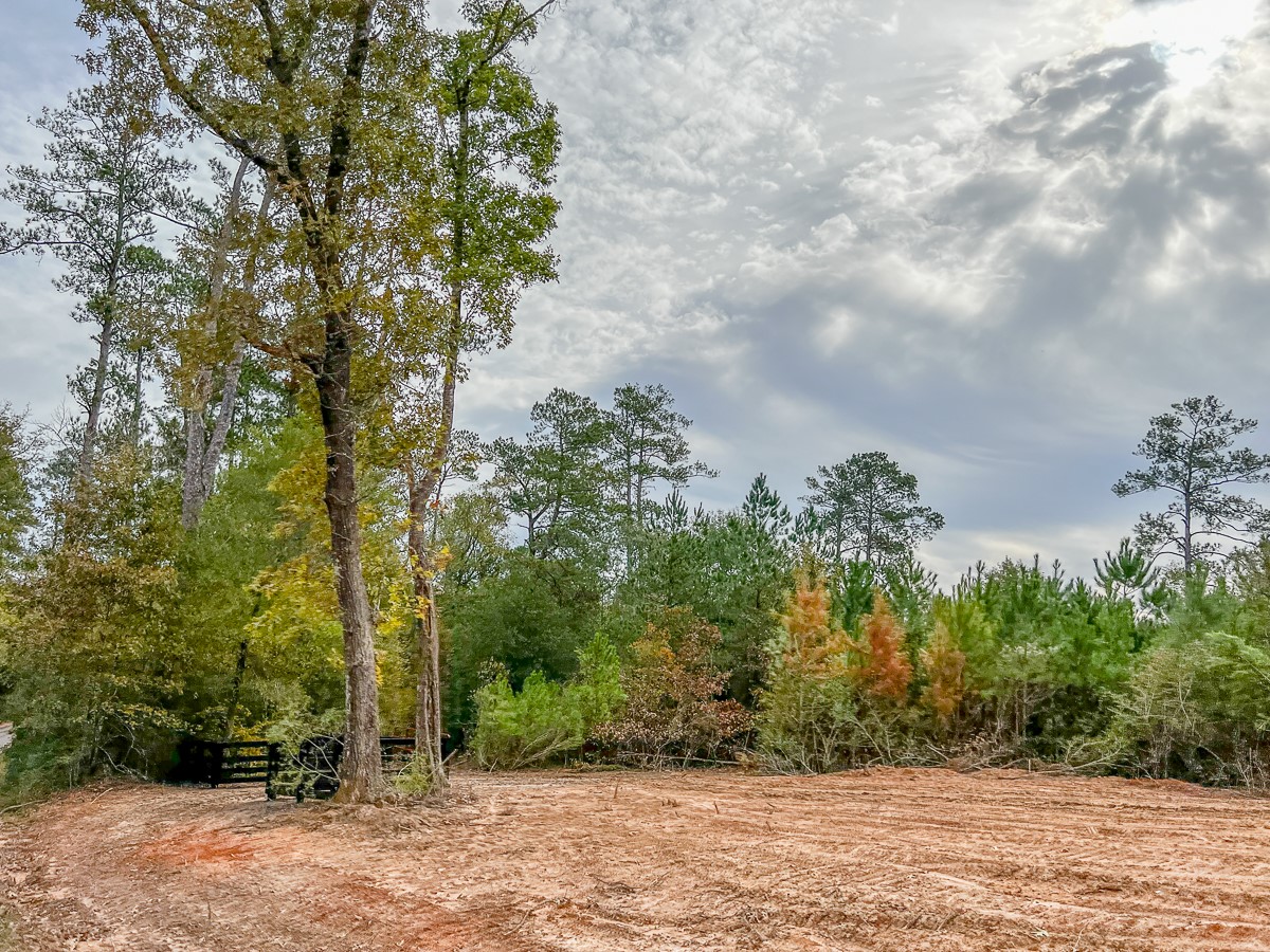 000000 Cr 2305 S Property Photo 6