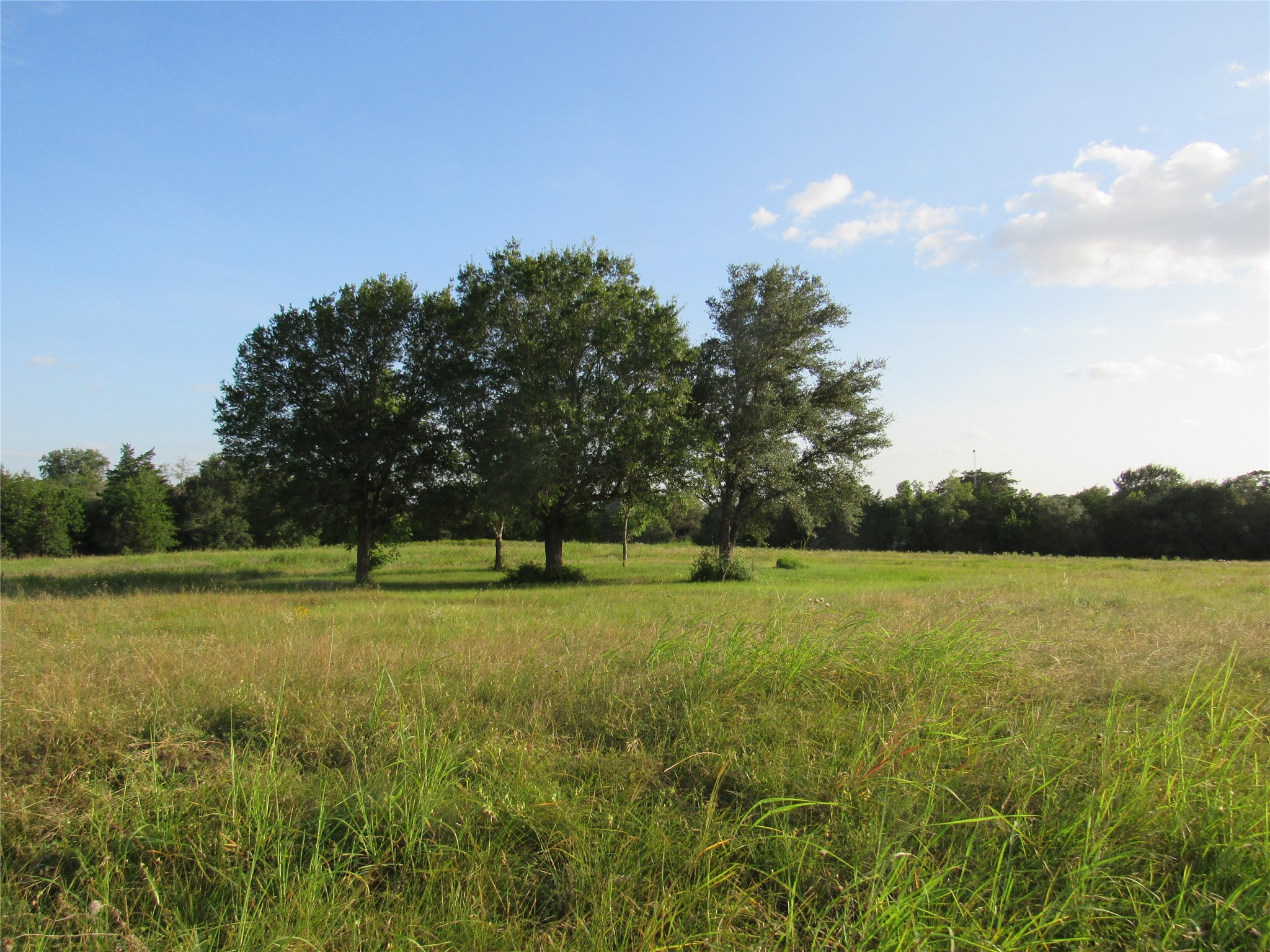 7515 Shelby Road Property Photo 1