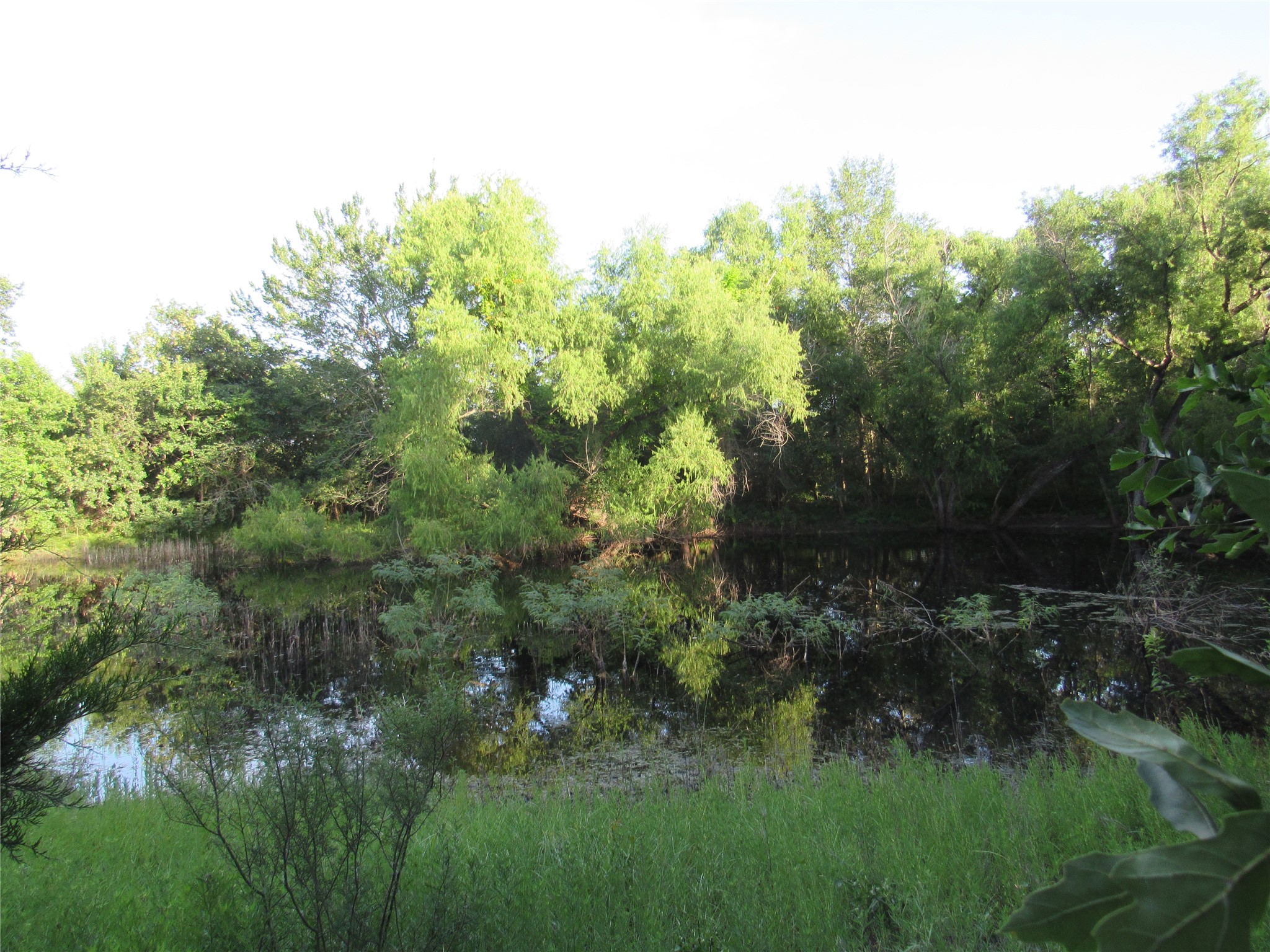7515 Shelby Road Property Photo 3