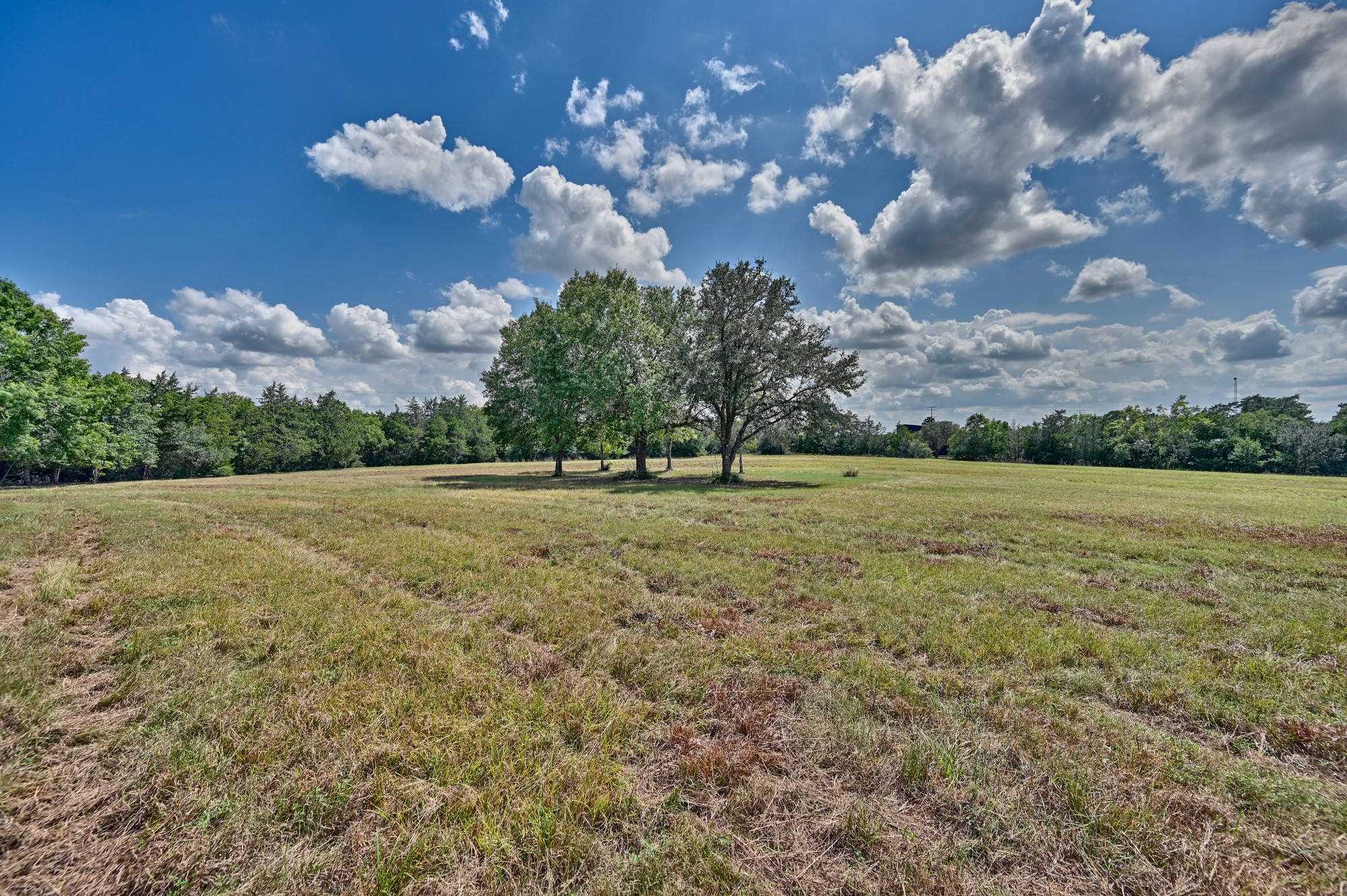 7515 Shelby Road Property Photo 4
