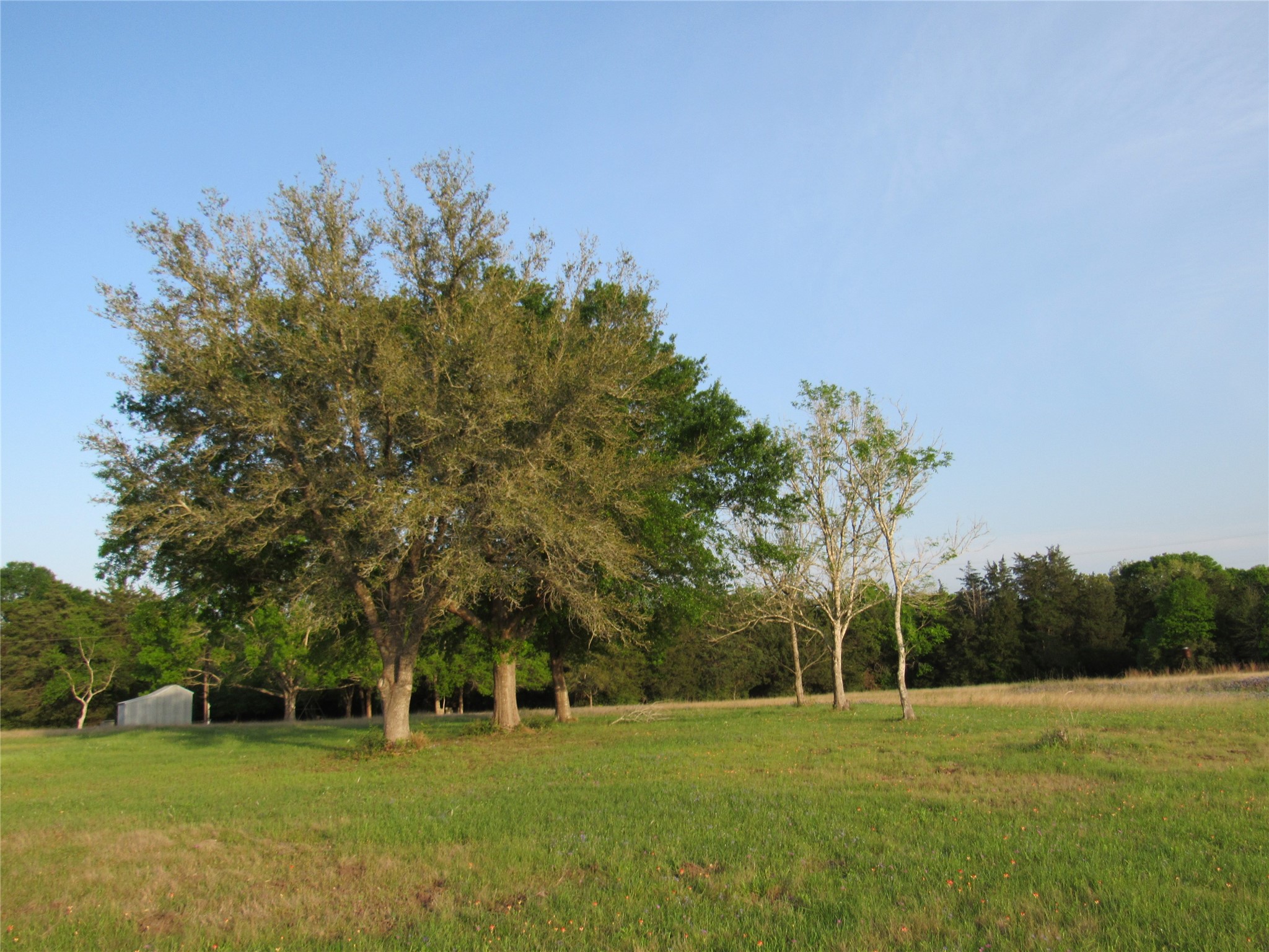 7515 Shelby Road Property Photo 5
