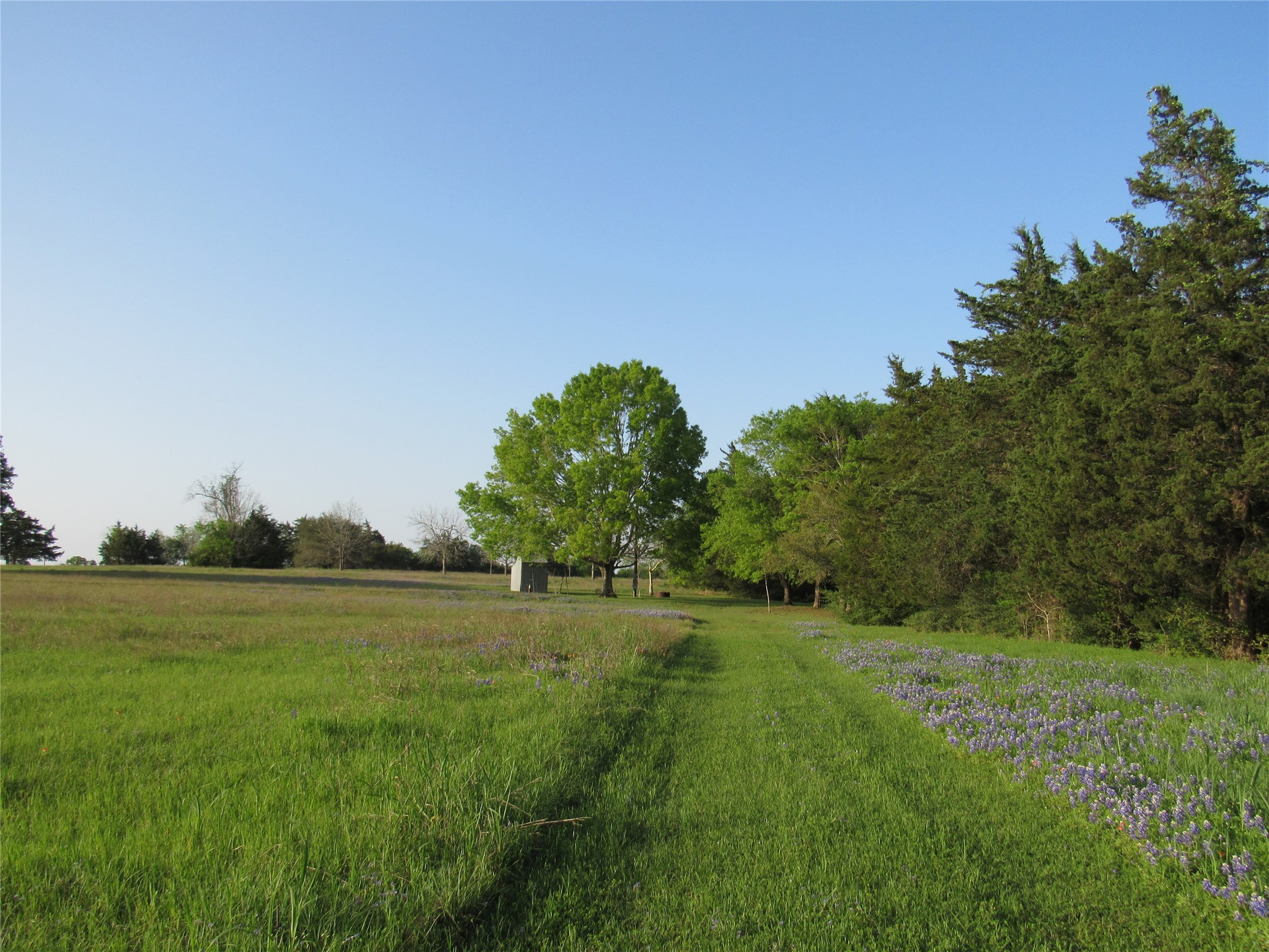 7515 Shelby Road Property Photo 6