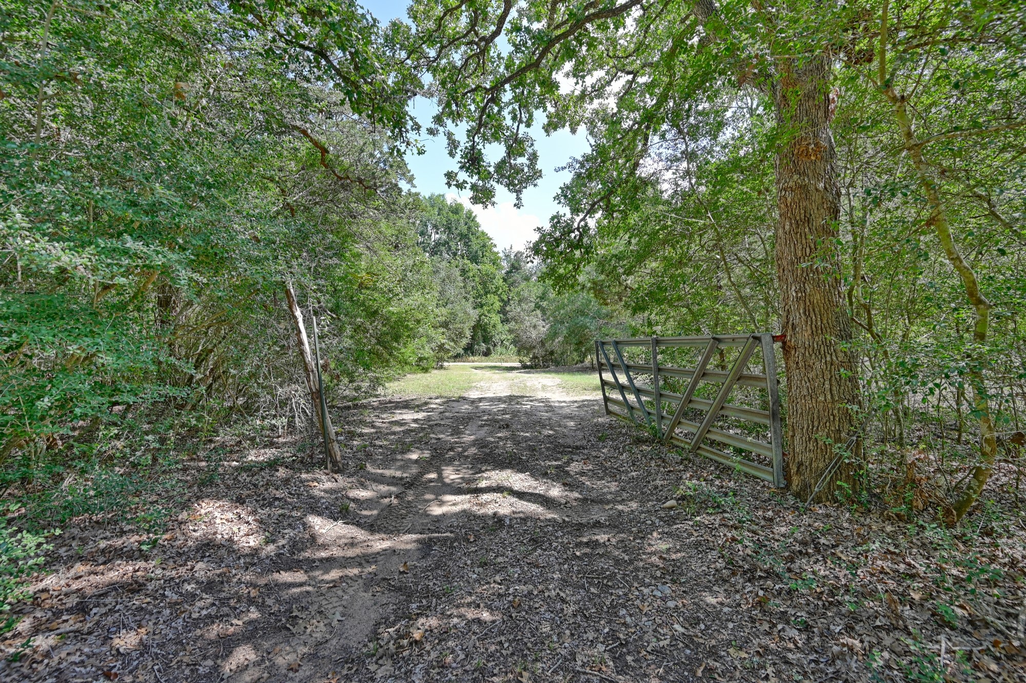 7515 Shelby Road Property Photo 11