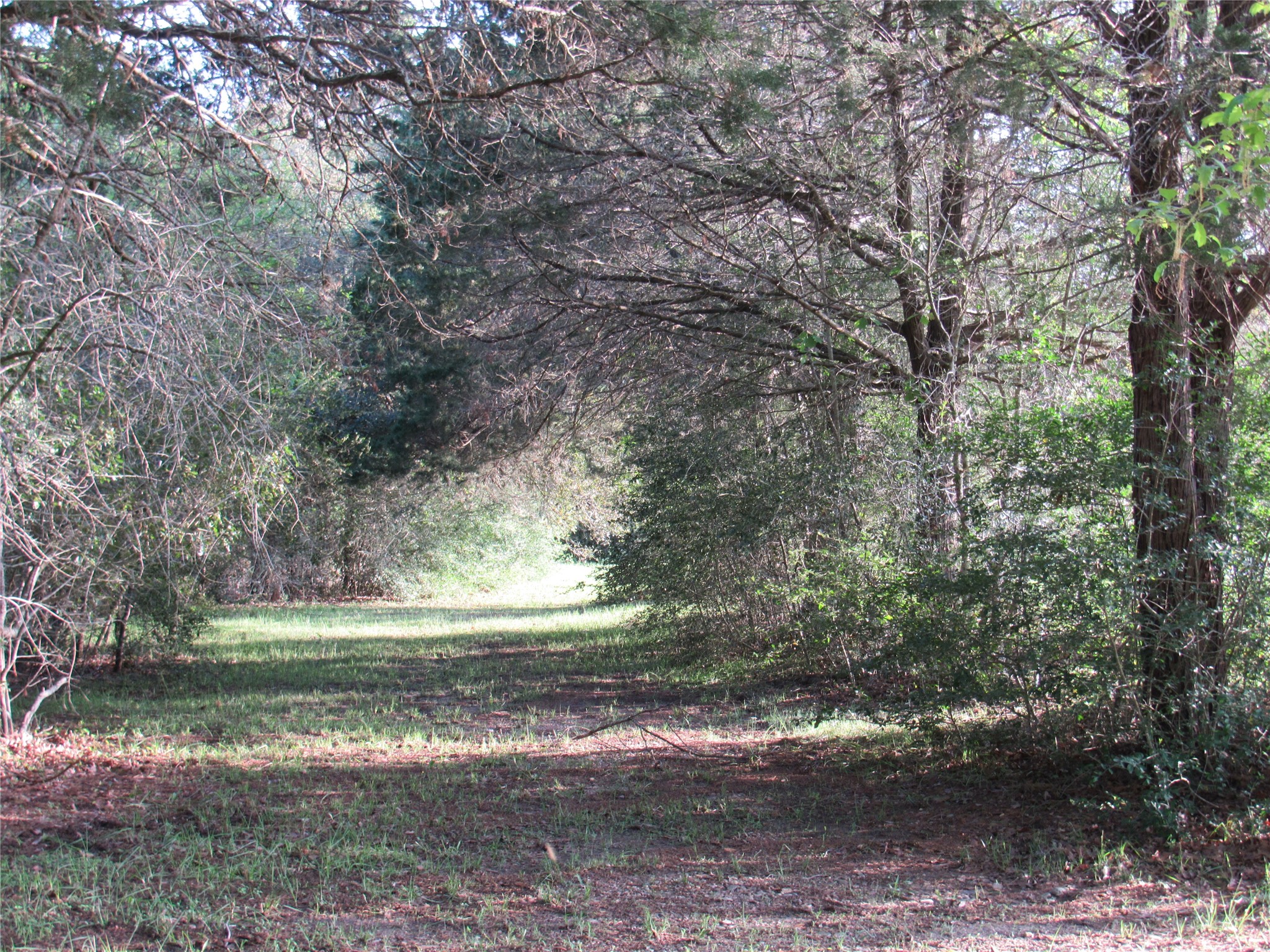 7515 Shelby Road Property Photo 12