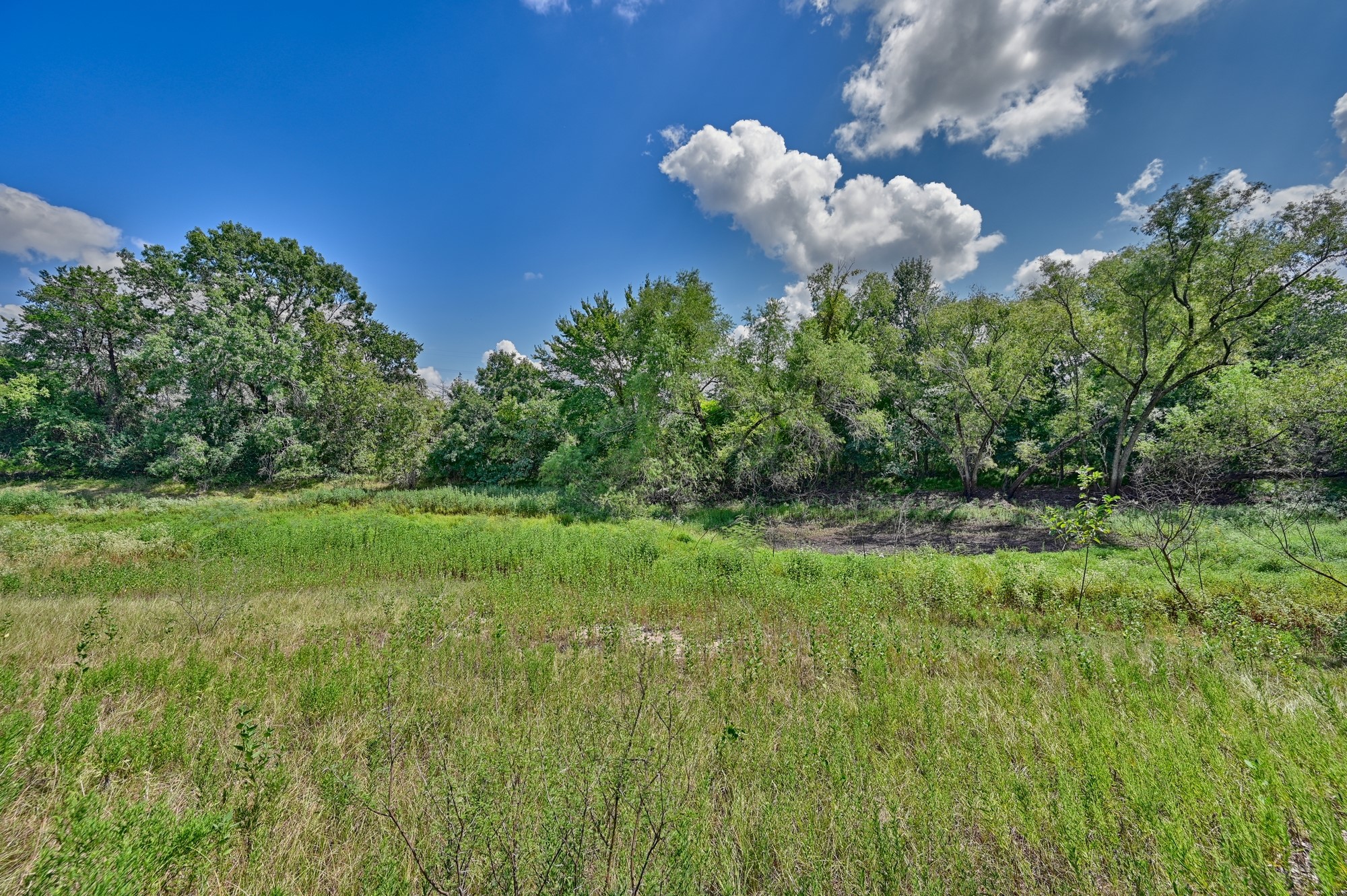 7515 Shelby Road Property Photo 13