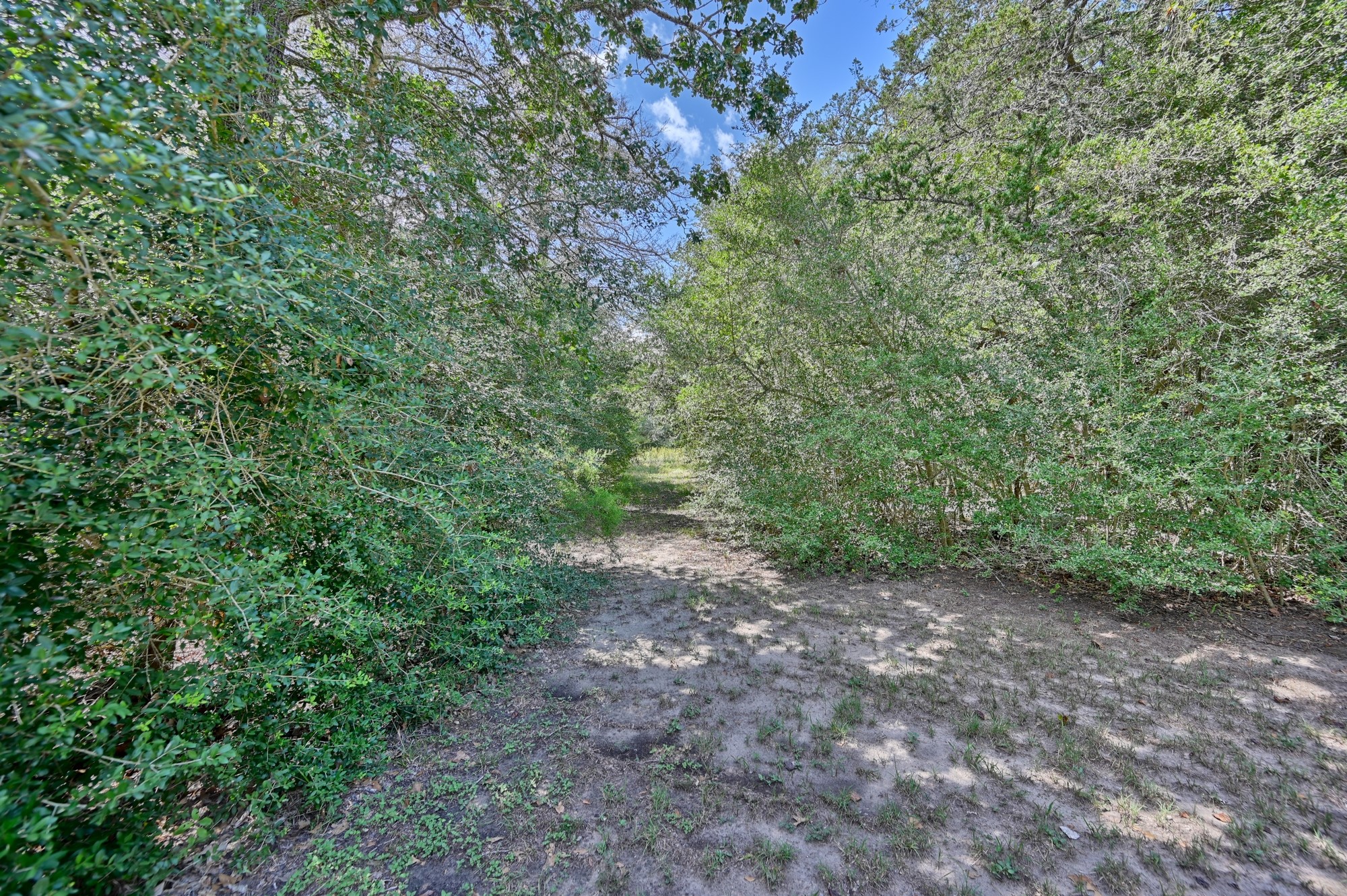7515 Shelby Road Property Photo 14