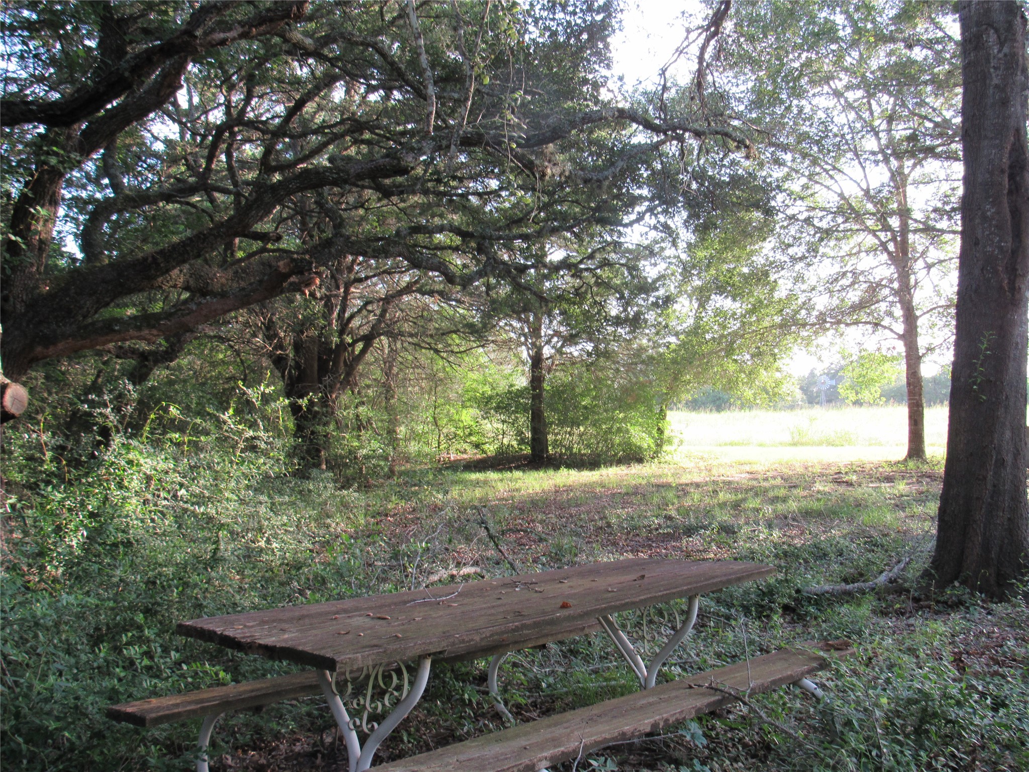 7515 Shelby Road Property Photo 16