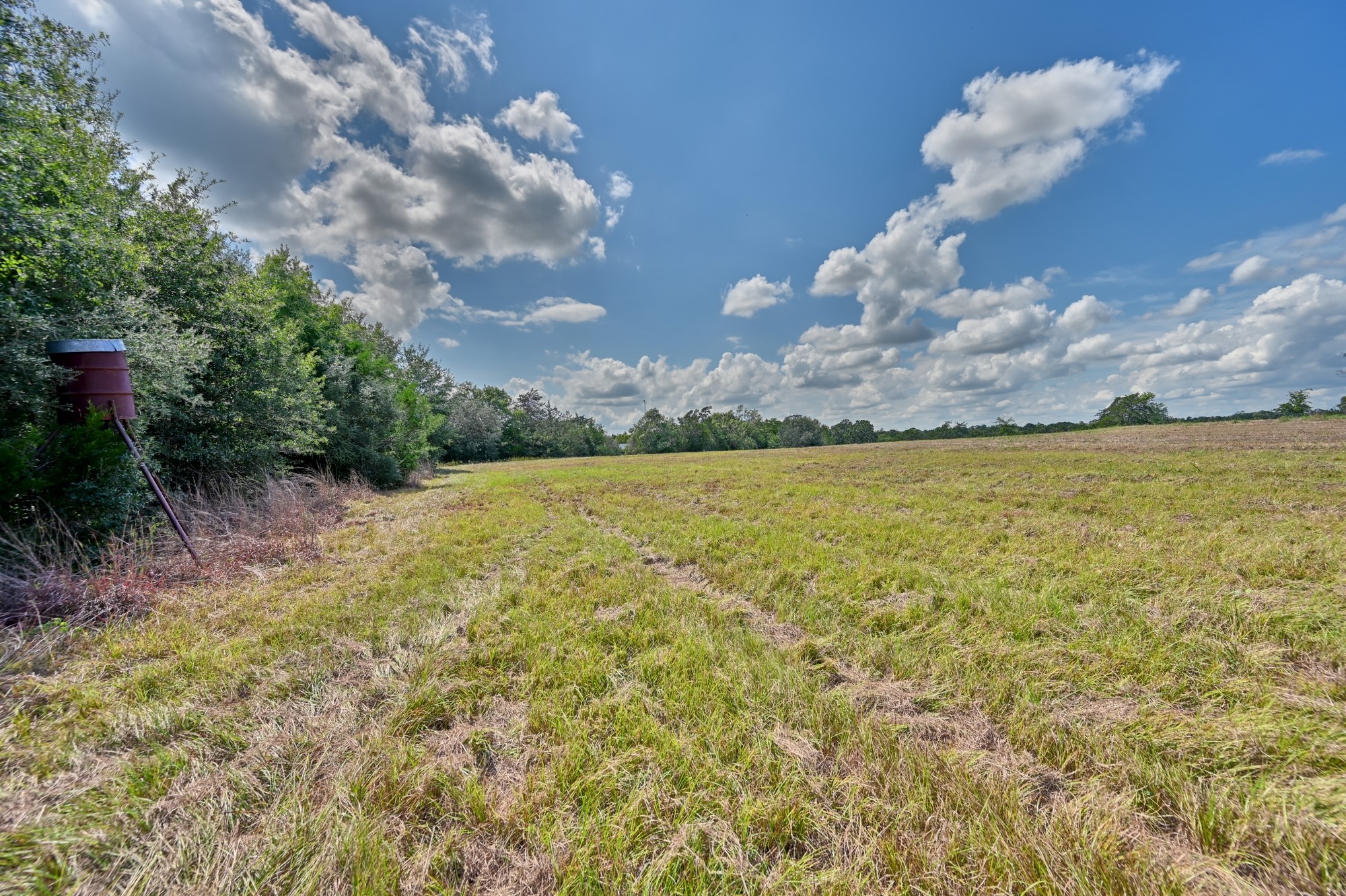 7515 Shelby Road Property Photo 17