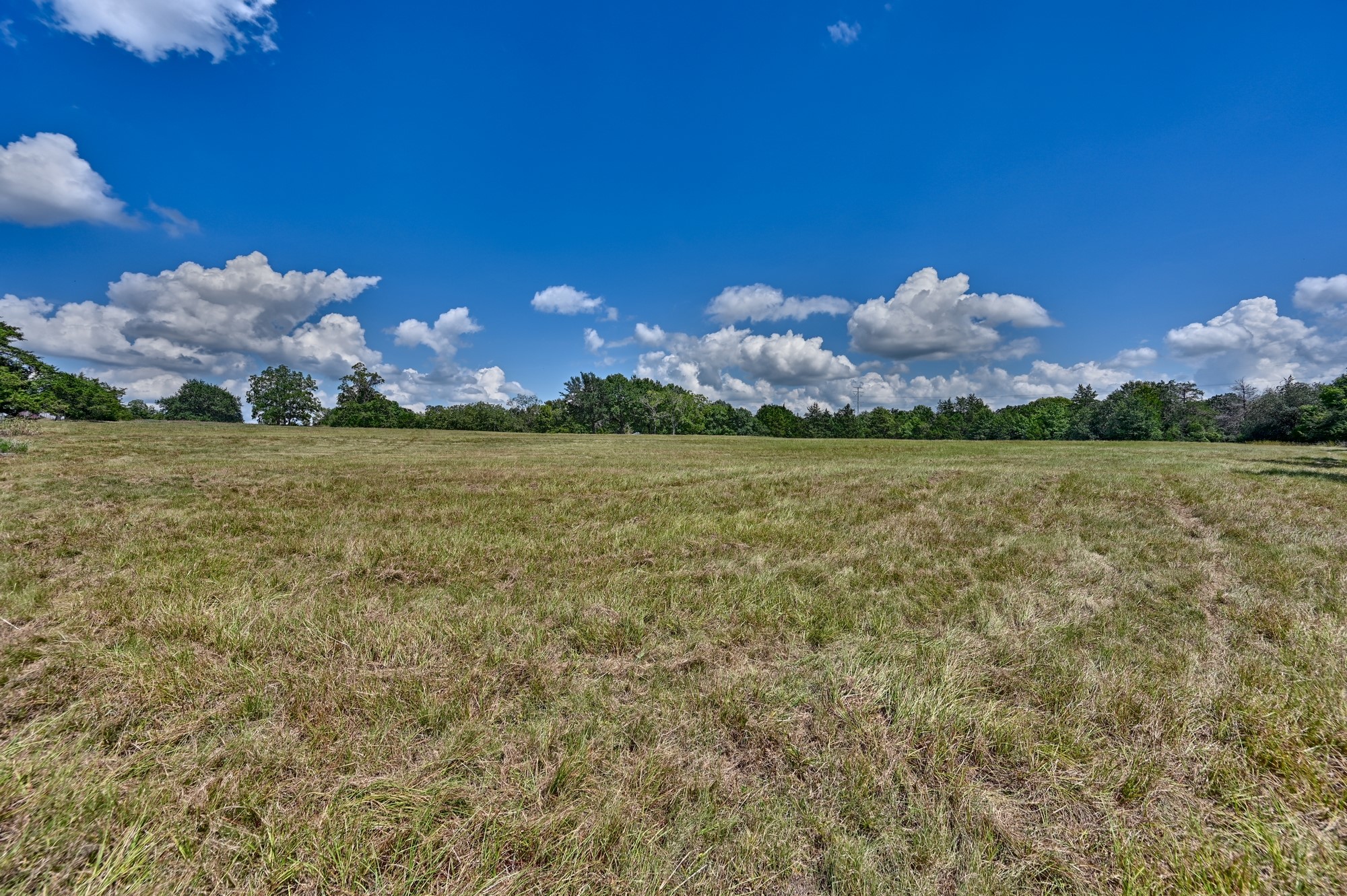 7515 Shelby Road Property Photo 18