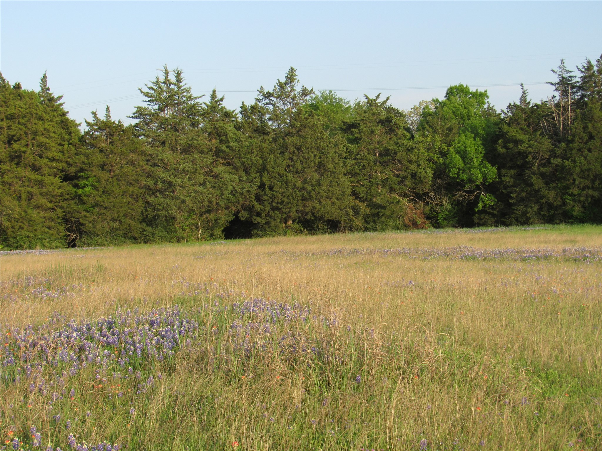7515 Shelby Road Property Photo 19