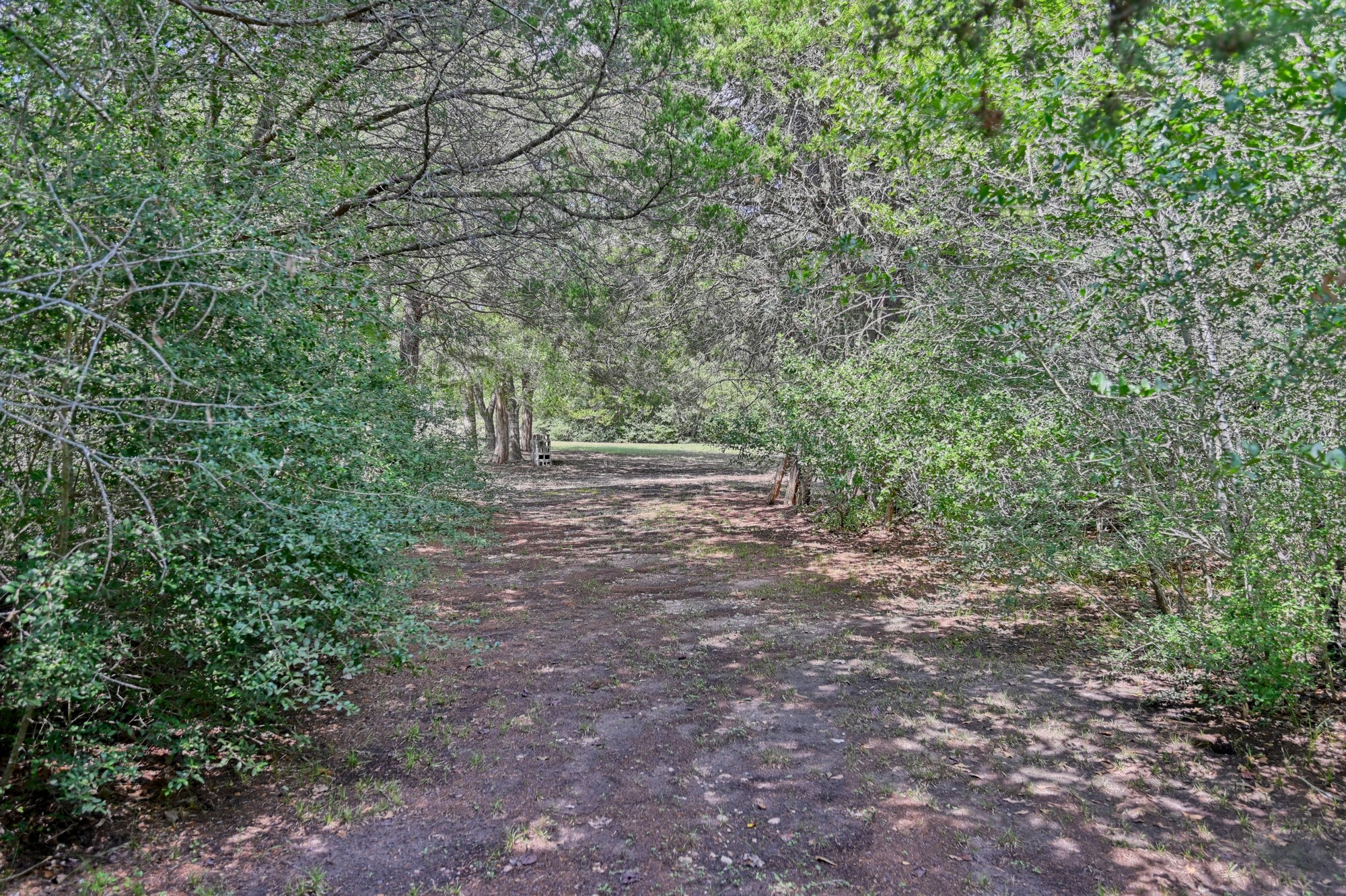 7515 Shelby Road Property Photo 22