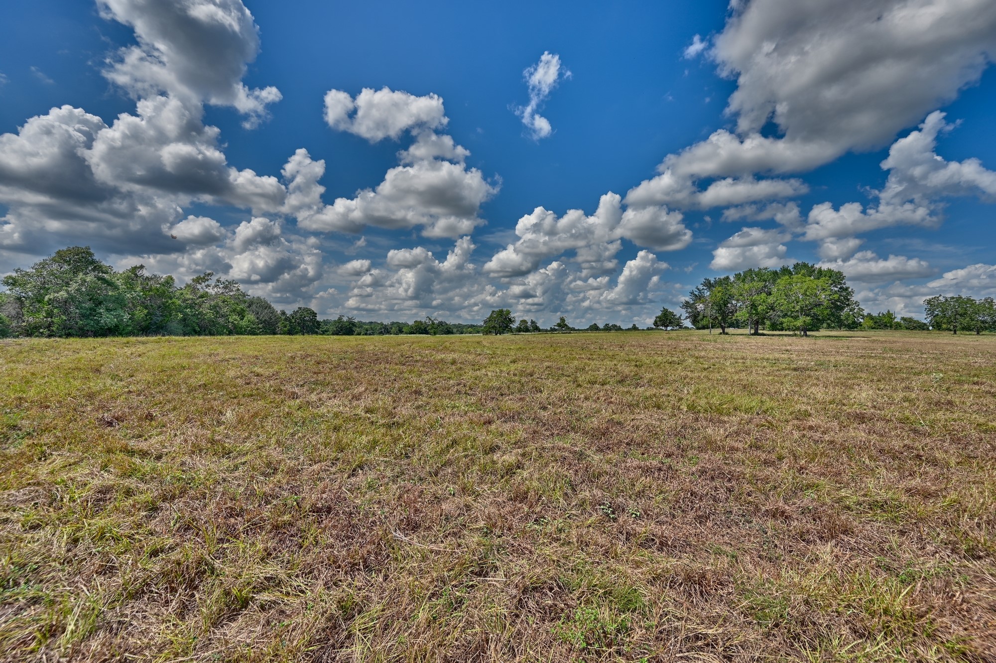 7515 Shelby Road Property Photo 24