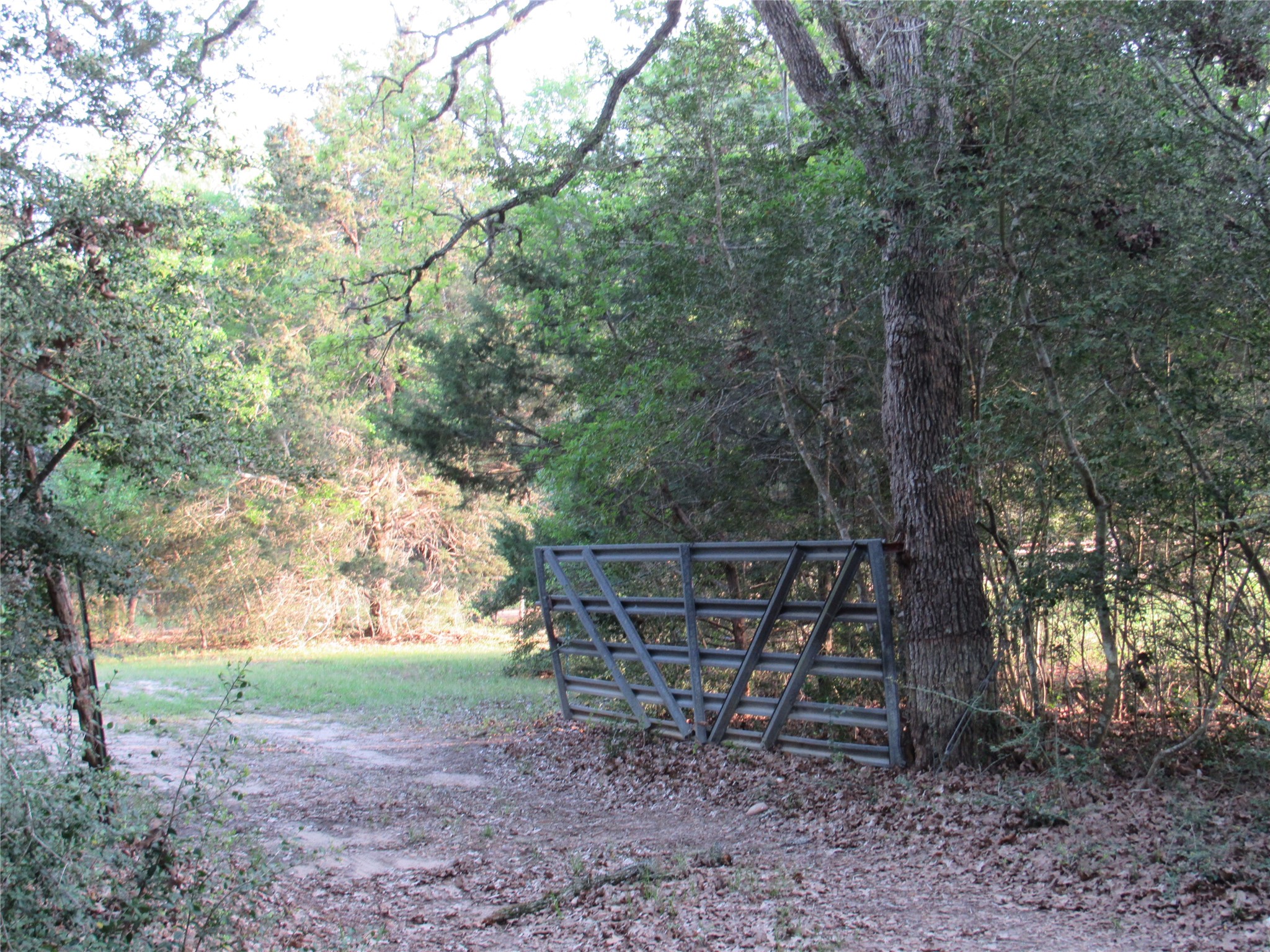 7515 Shelby Road Property Photo 25