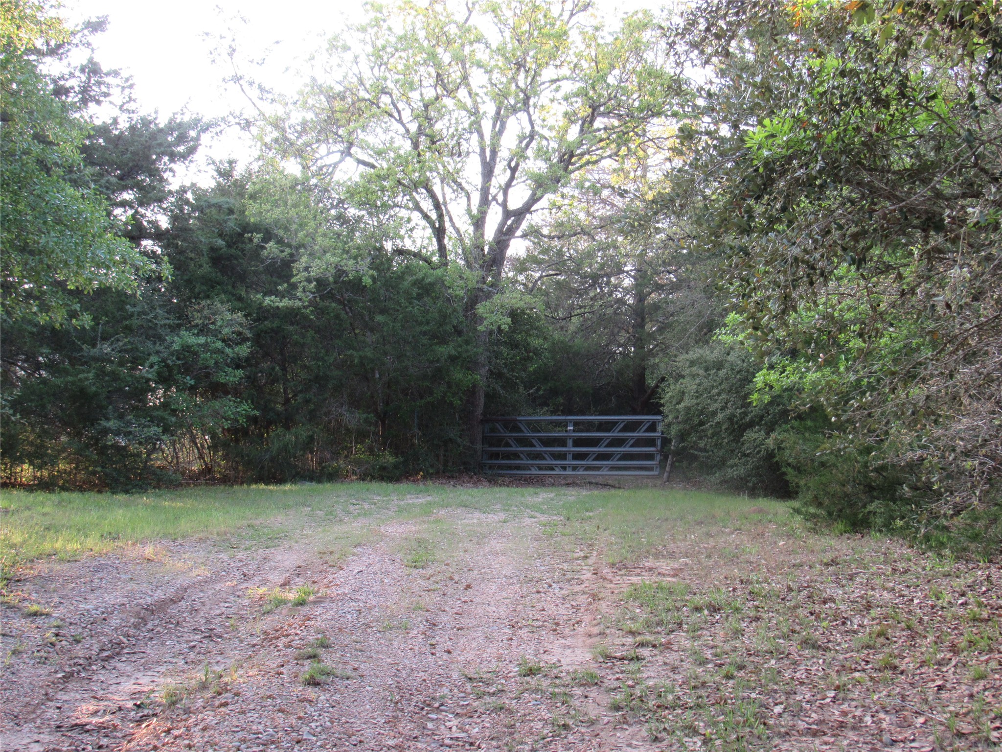 7515 Shelby Road Property Photo 26