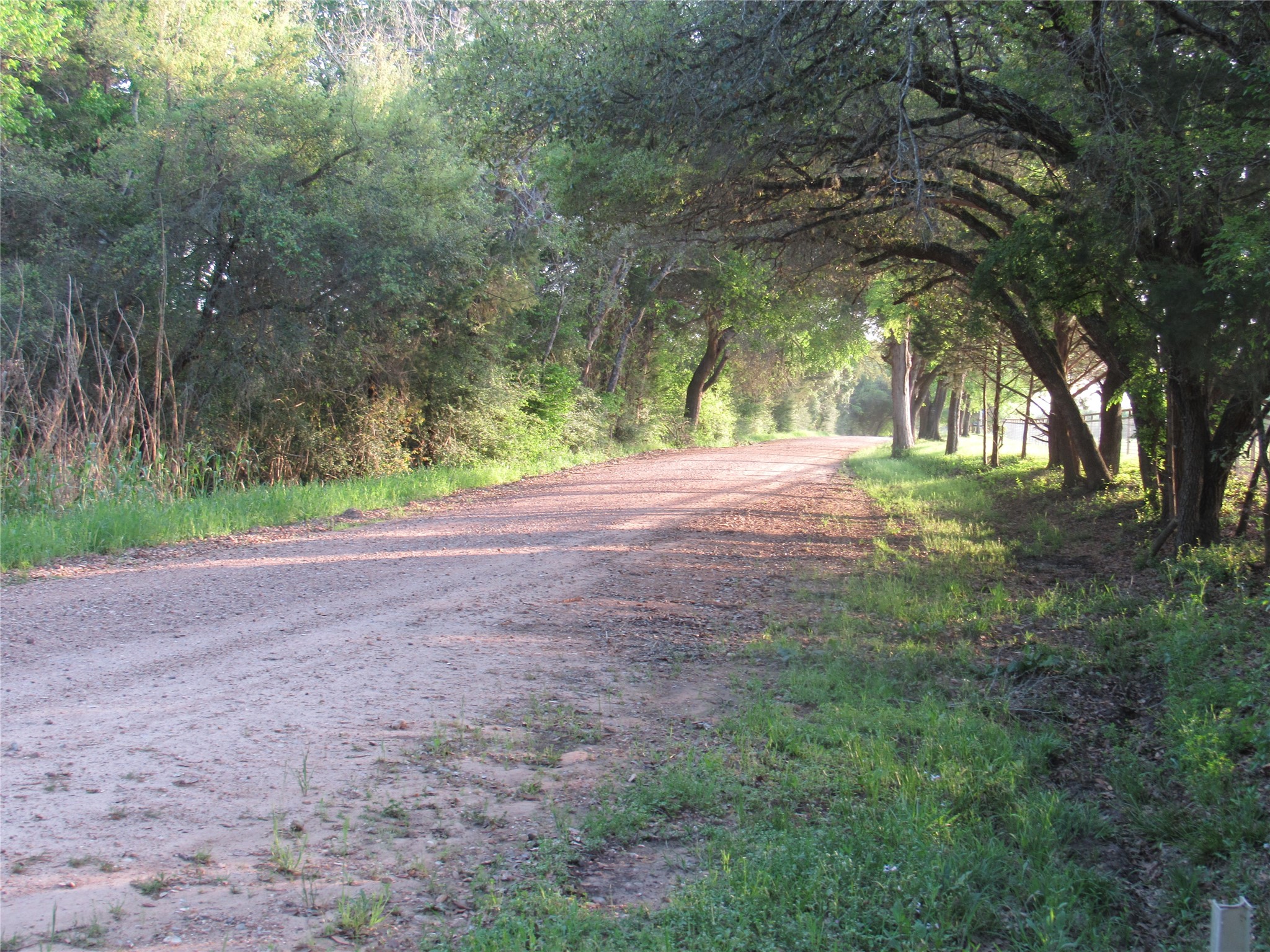 7515 Shelby Road Property Photo 27