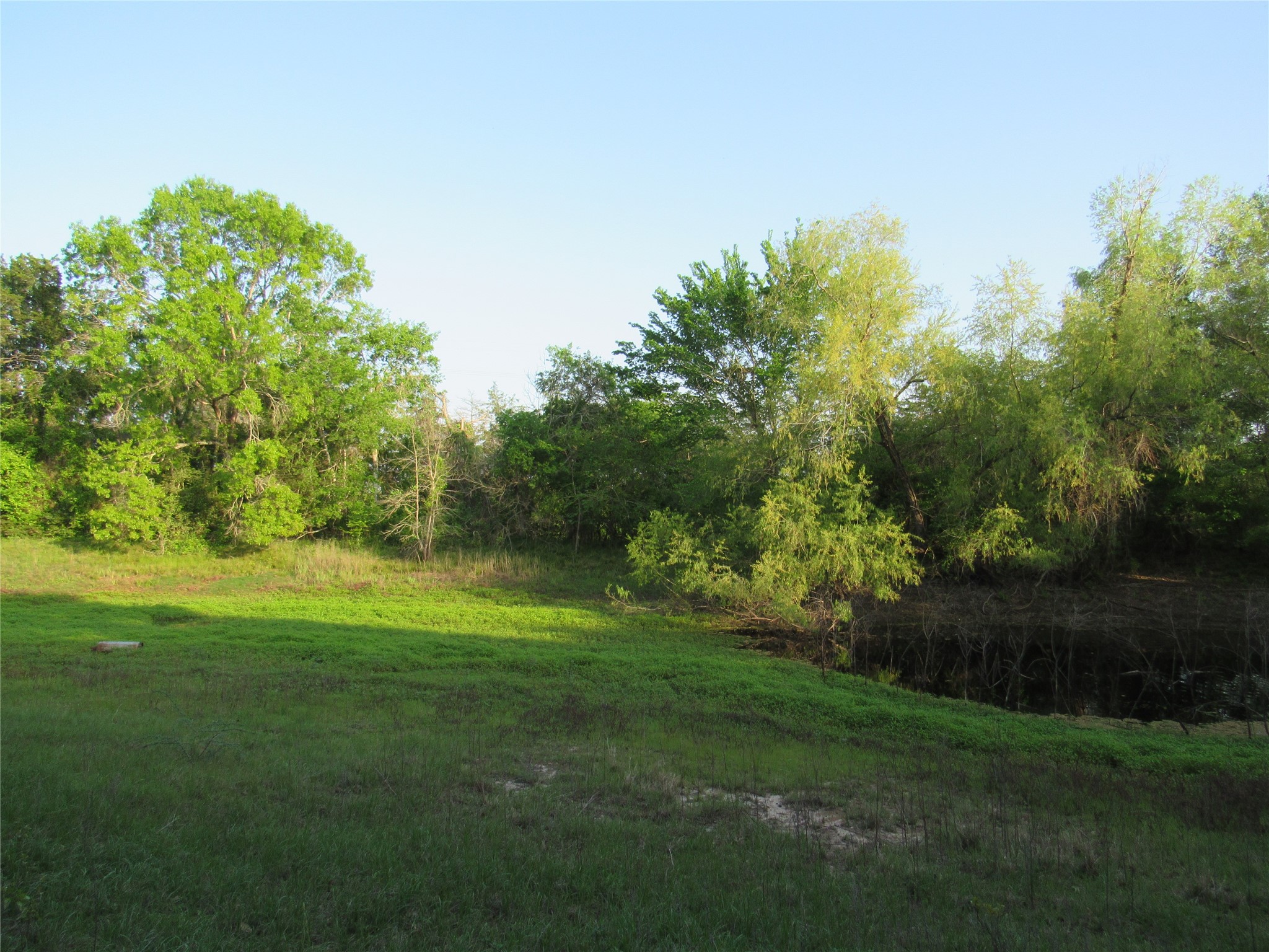 7515 Shelby Road Property Photo 28