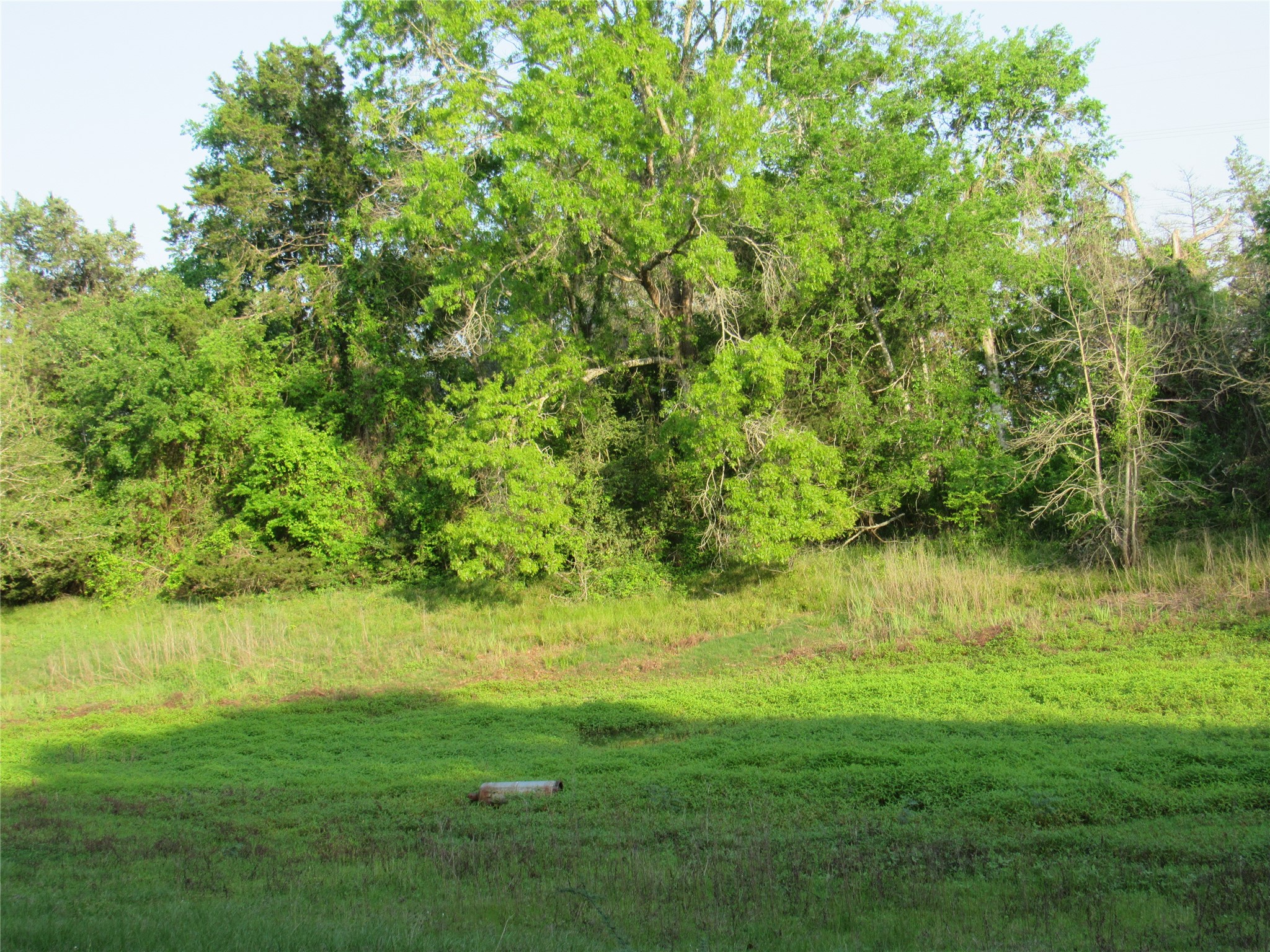 7515 Shelby Road Property Photo 29