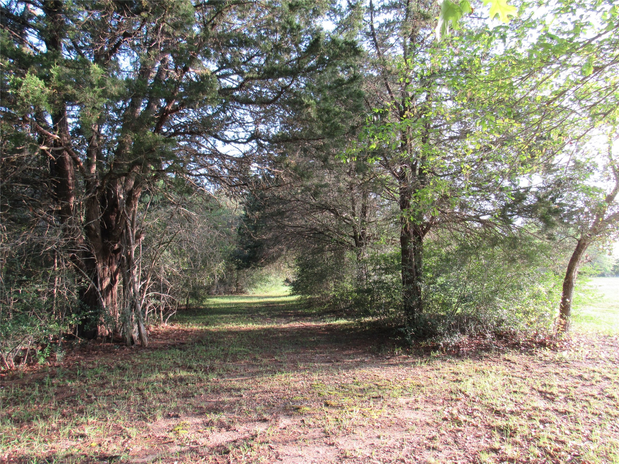 7515 Shelby Road Property Photo 30