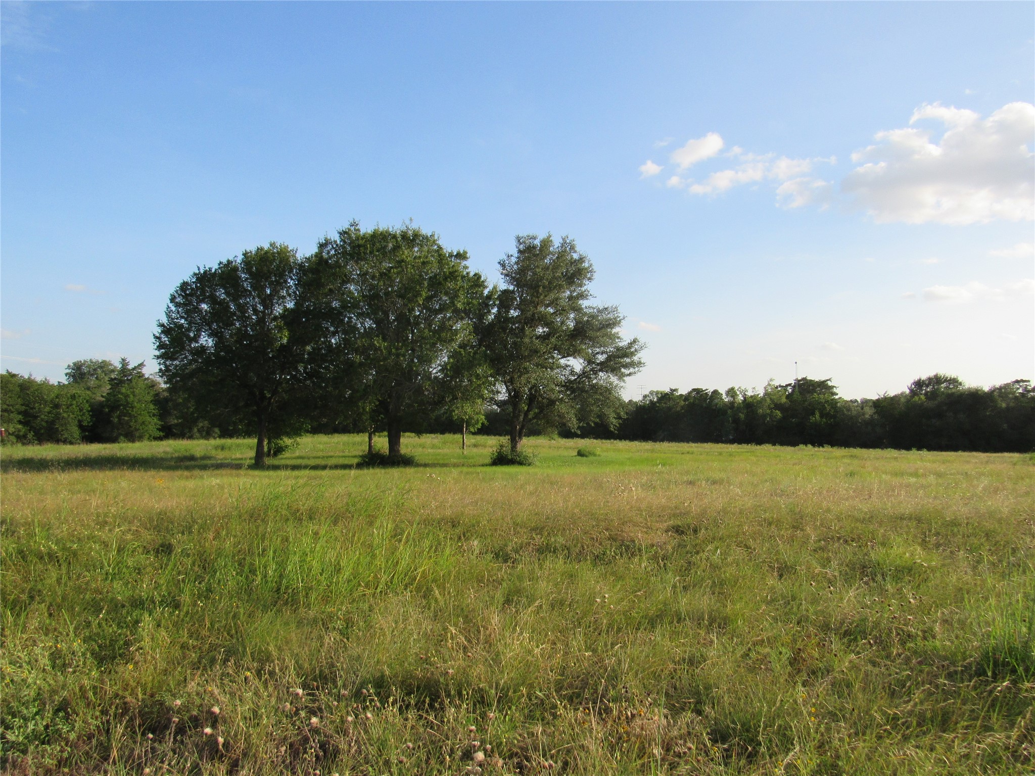 7515 Shelby Road Property Photo 31
