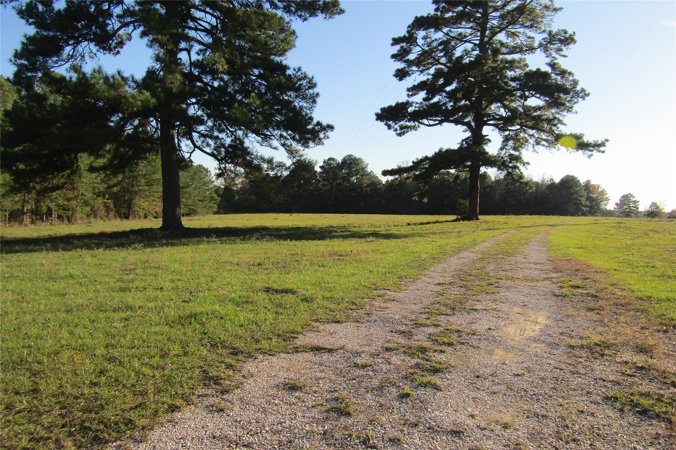 Tbd Hwy 190 East E Property Photo 1