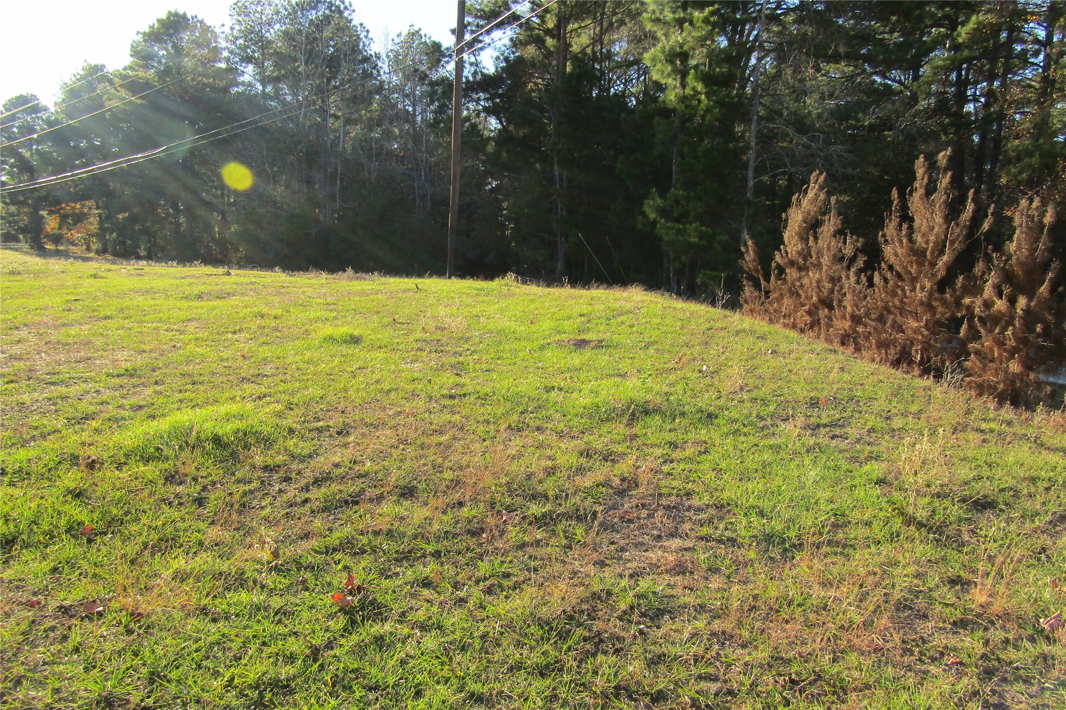Tbd Hwy 190 East E Property Photo 3
