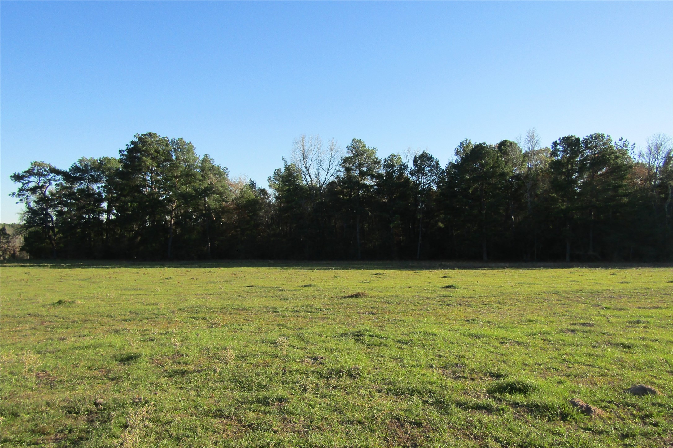 Tbd Hwy 190 East E Property Photo 4