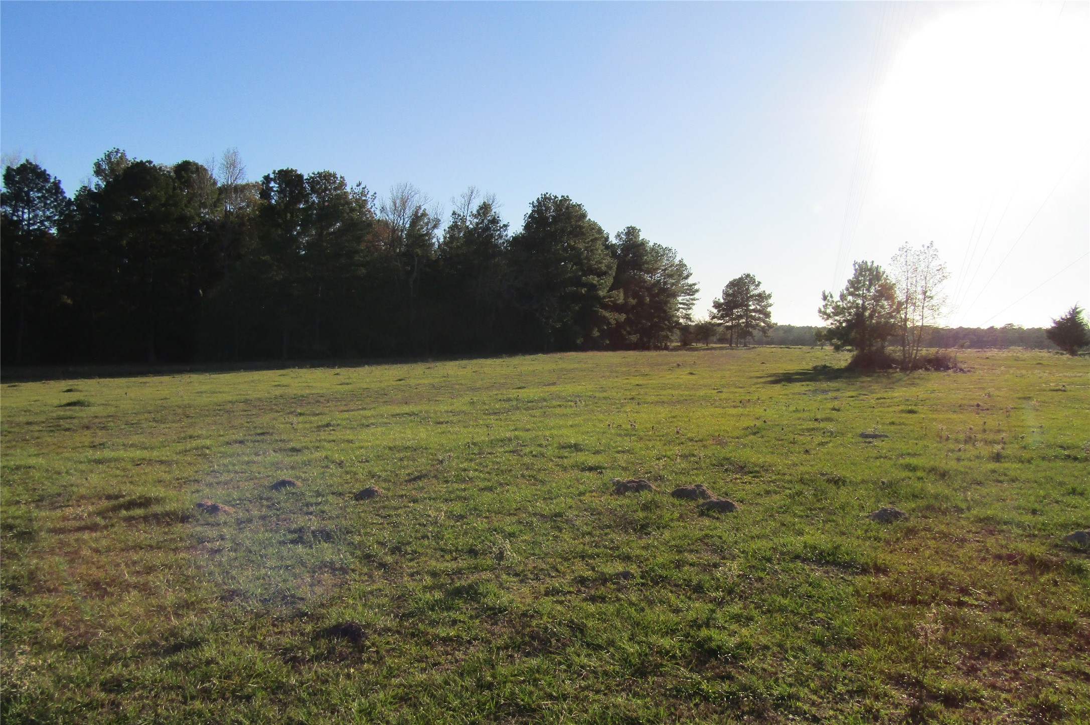 Tbd Hwy 190 East E Property Photo 6