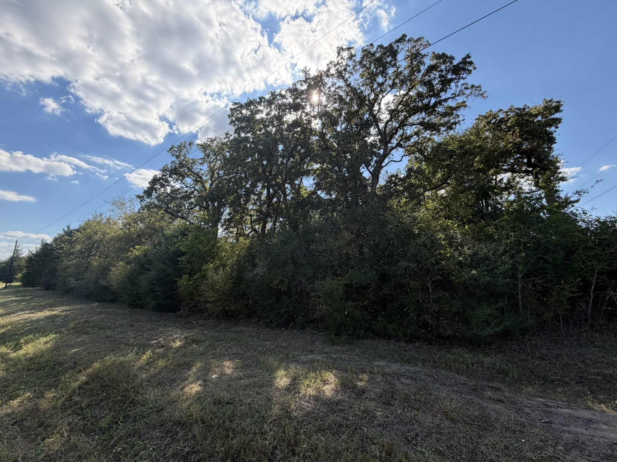 12495 Burgess Road Property Photo 1