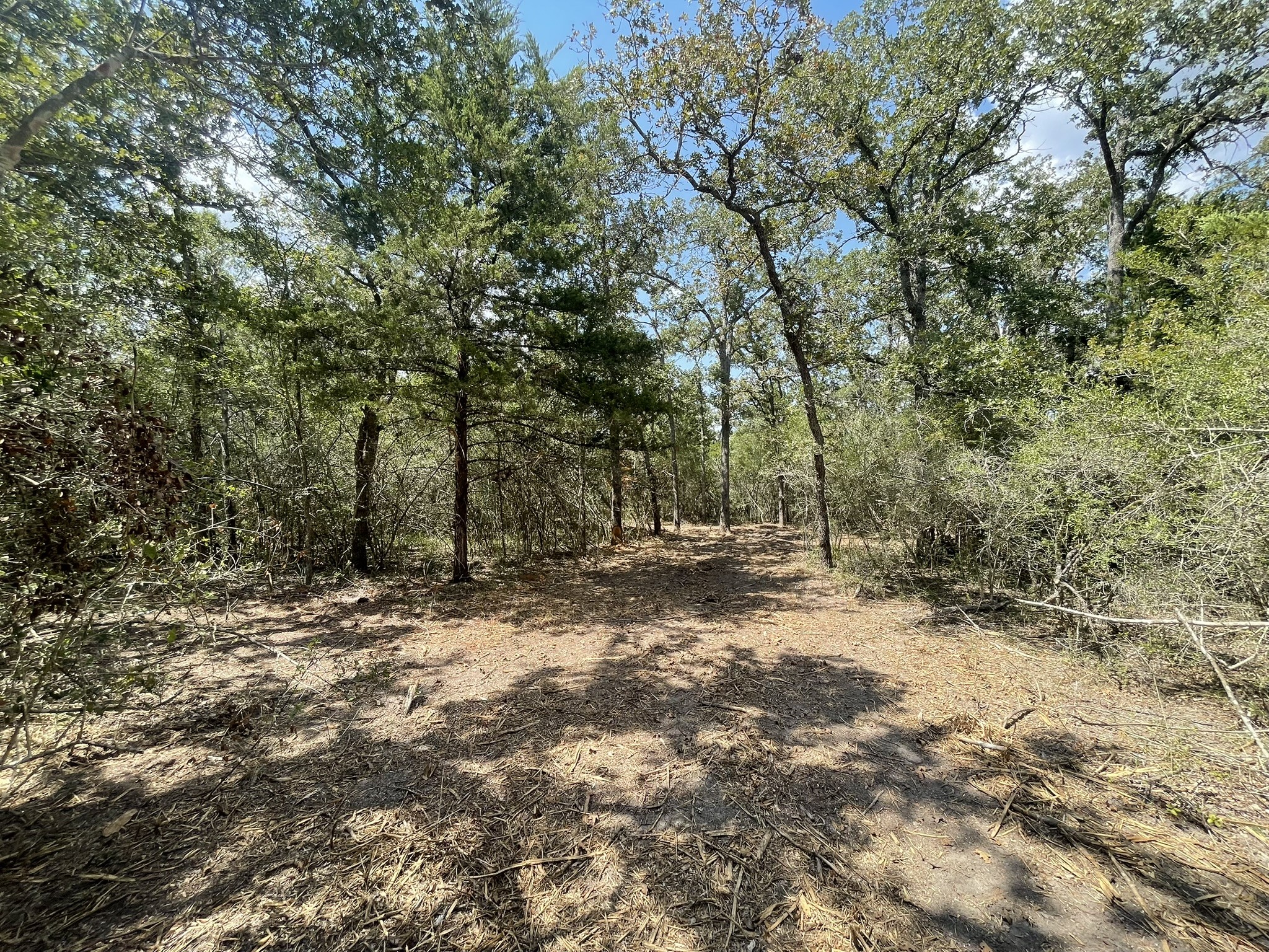 12495 Burgess Road Property Photo 6