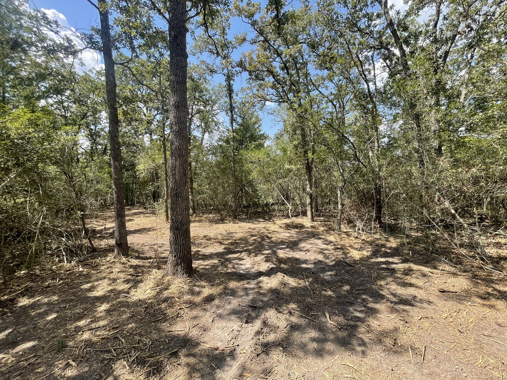 12495 Burgess Road Property Photo 7