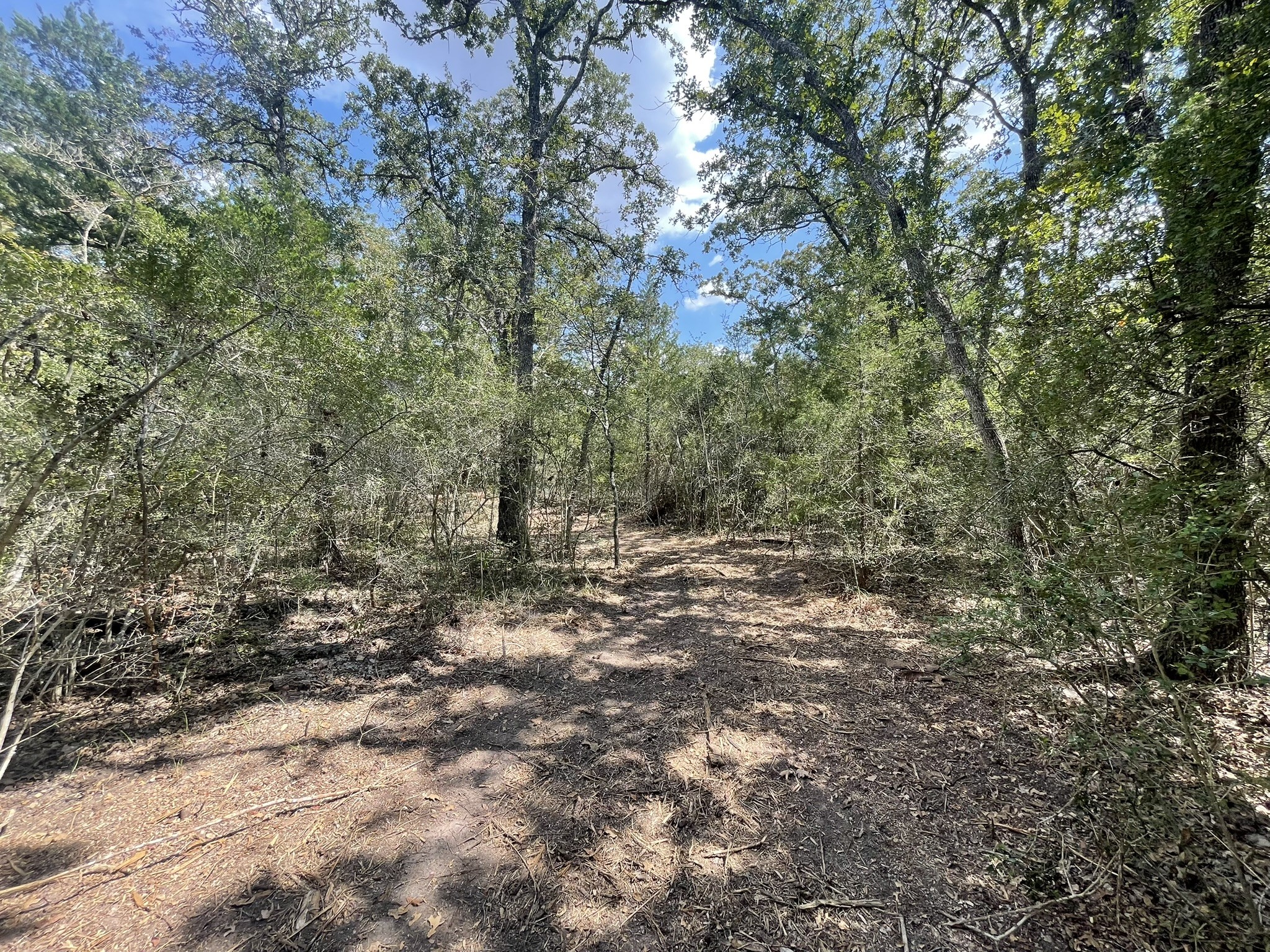 12495 Burgess Road Property Photo 8