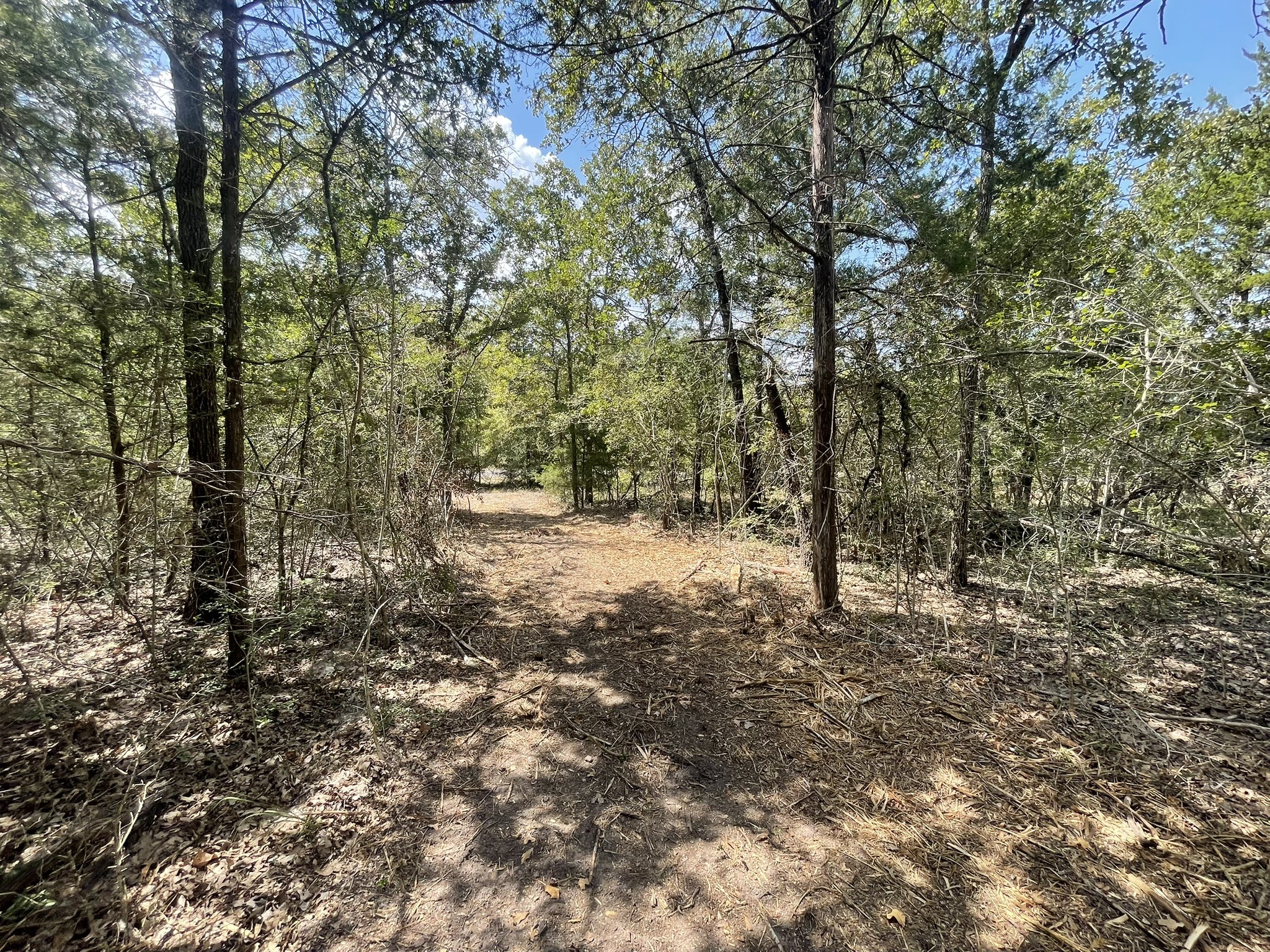 12495 Burgess Road Property Photo 9
