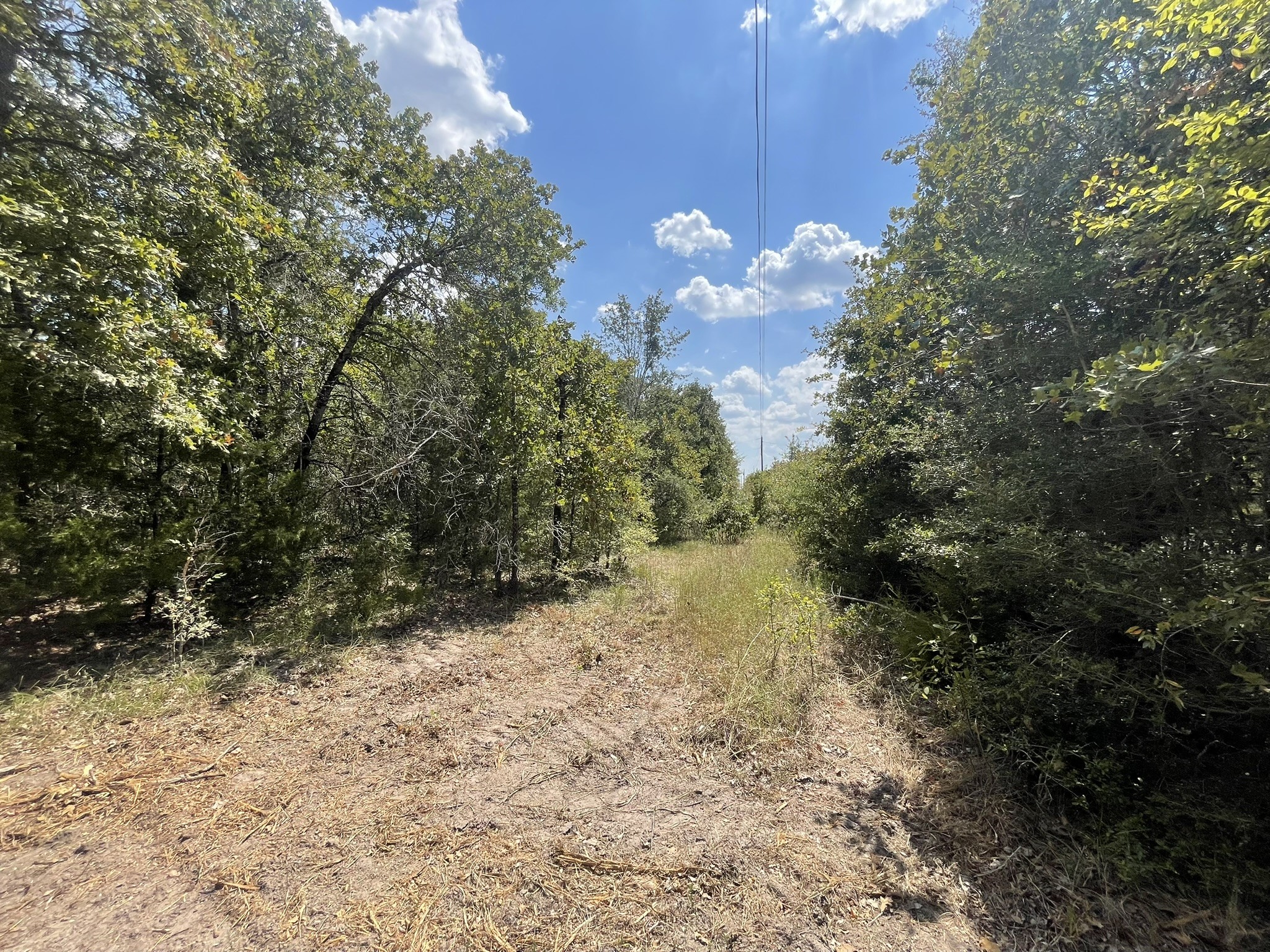 12495 Burgess Road Property Photo 10