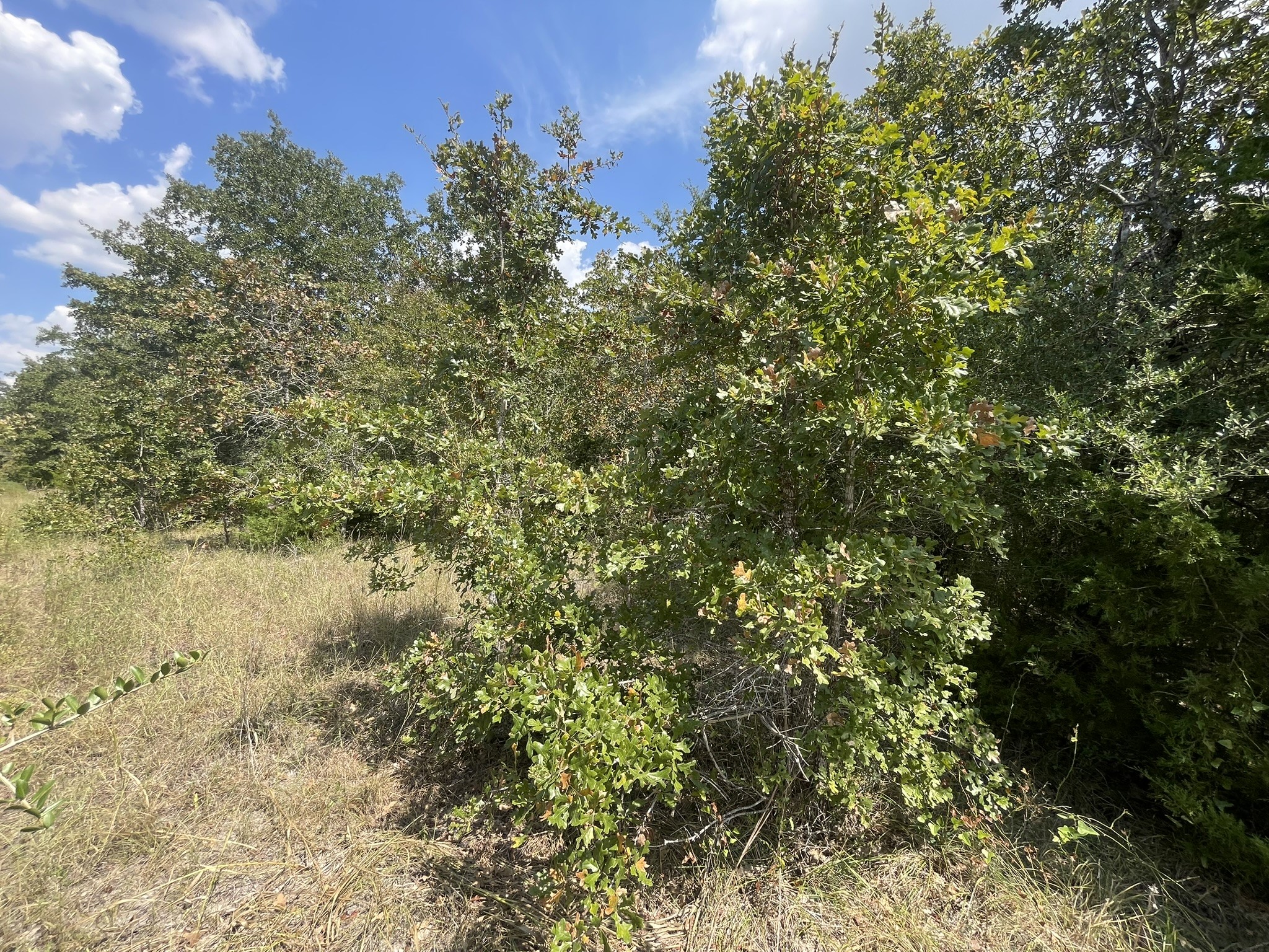 12495 Burgess Road Property Photo 11