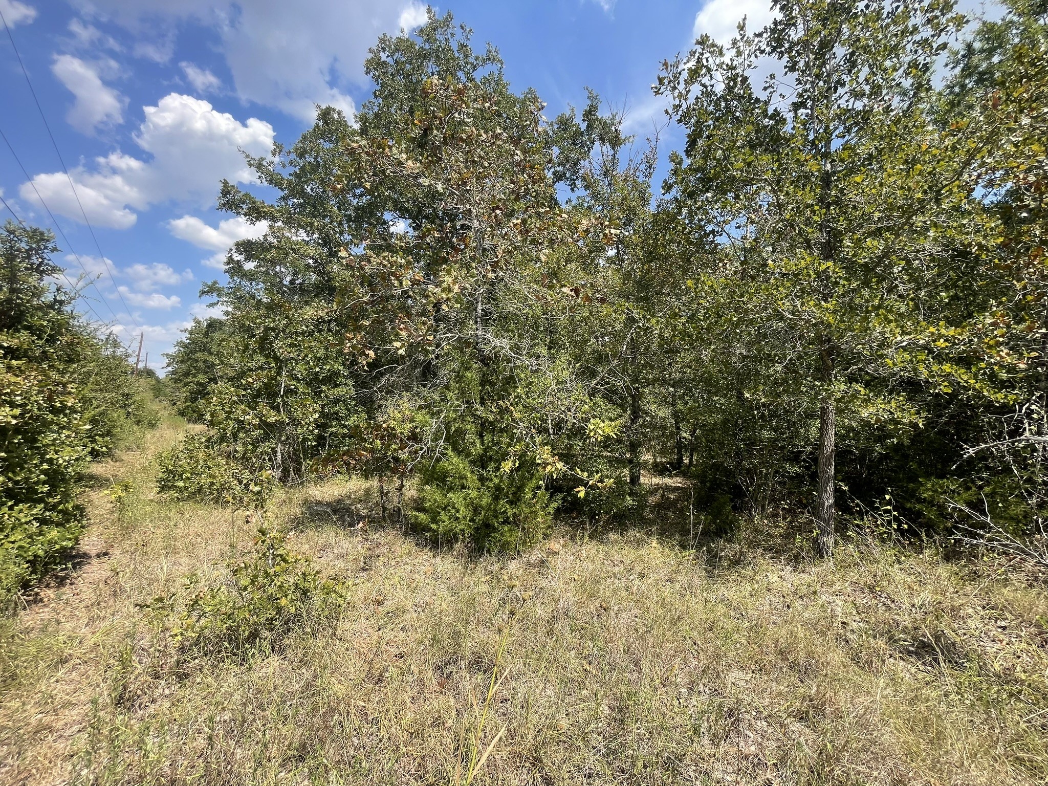 12495 Burgess Road Property Photo 12