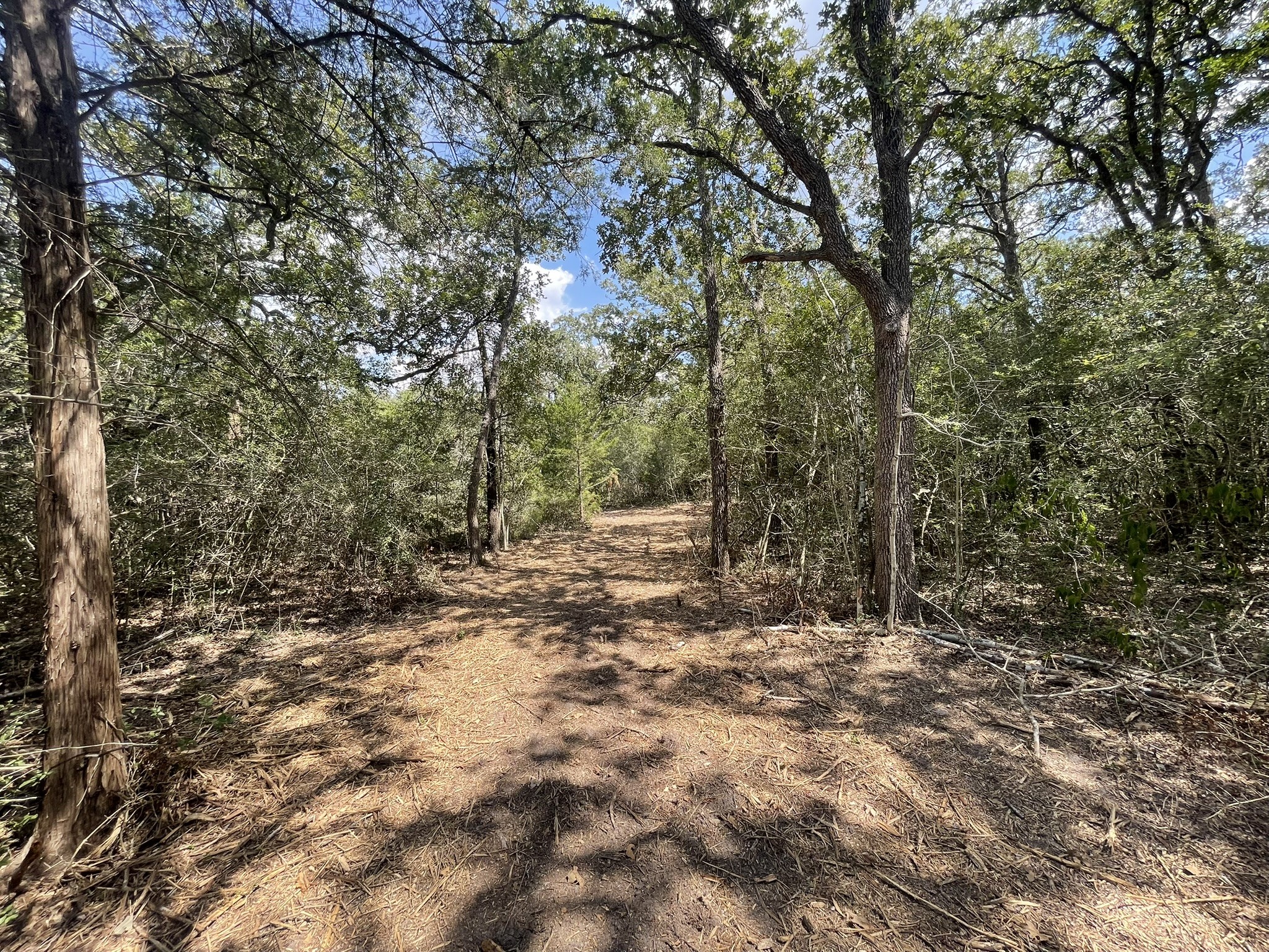 12495 Burgess Road Property Photo 16