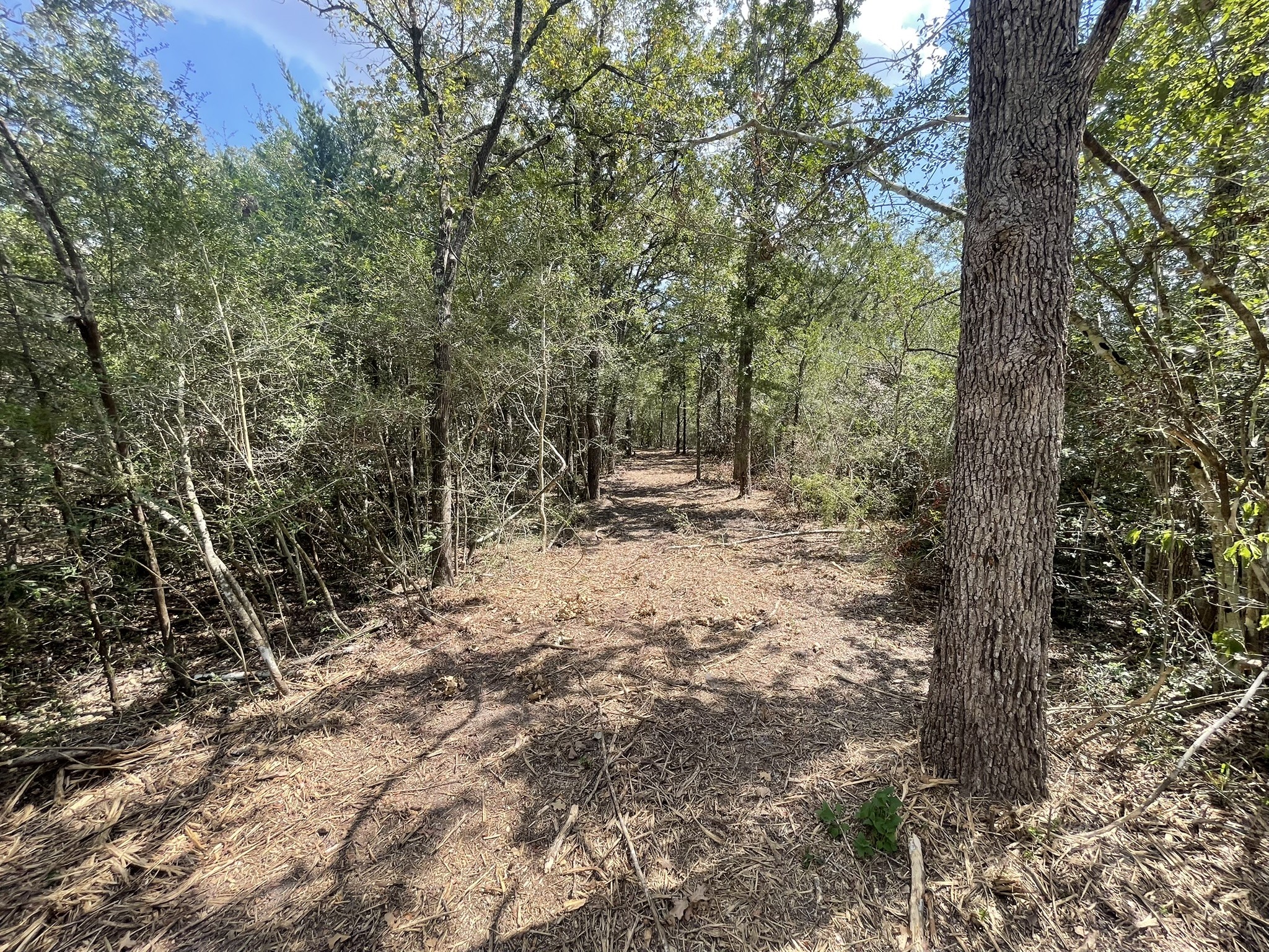12495 Burgess Road Property Photo 17