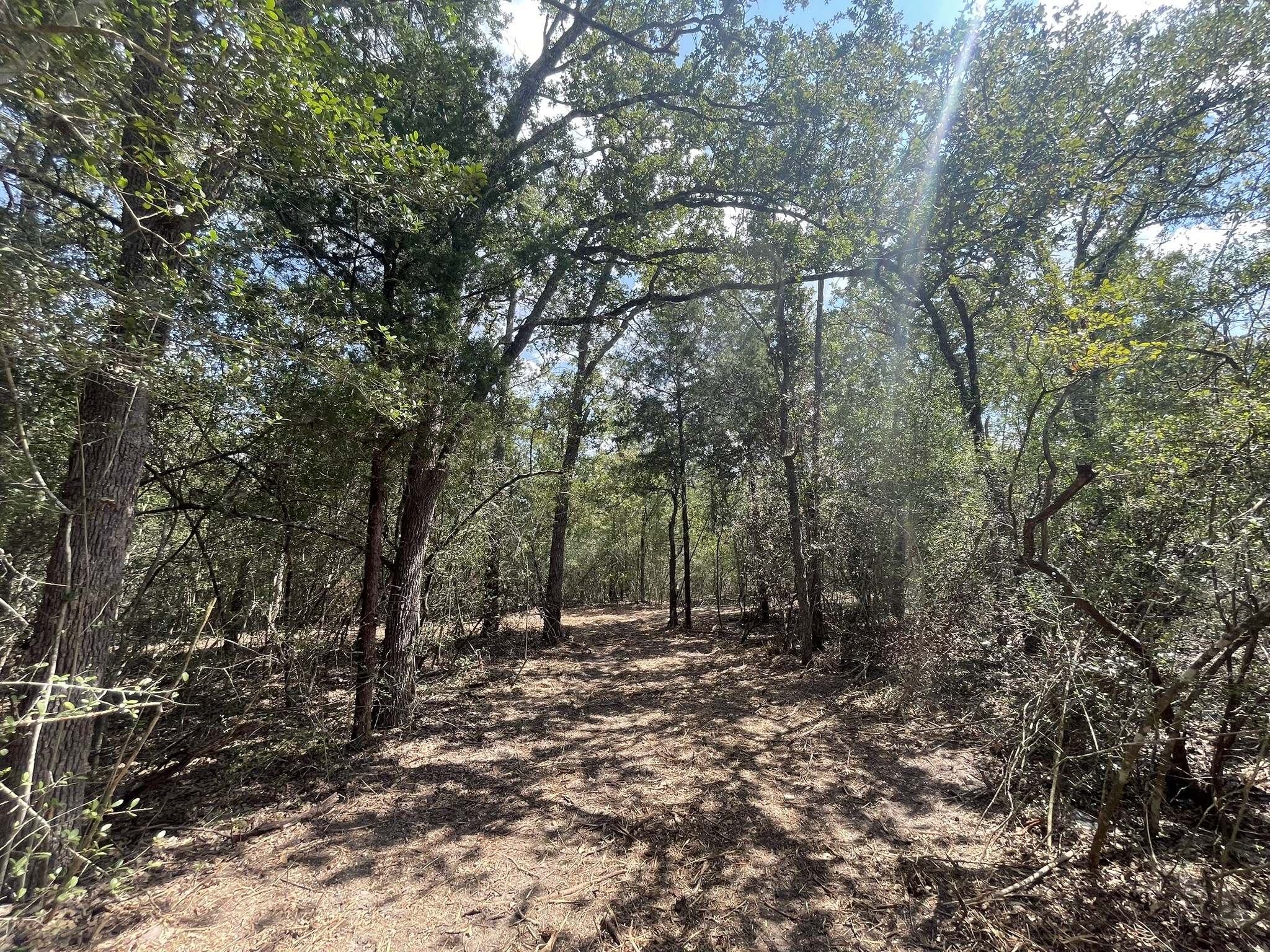 12495 Burgess Road Property Photo 18