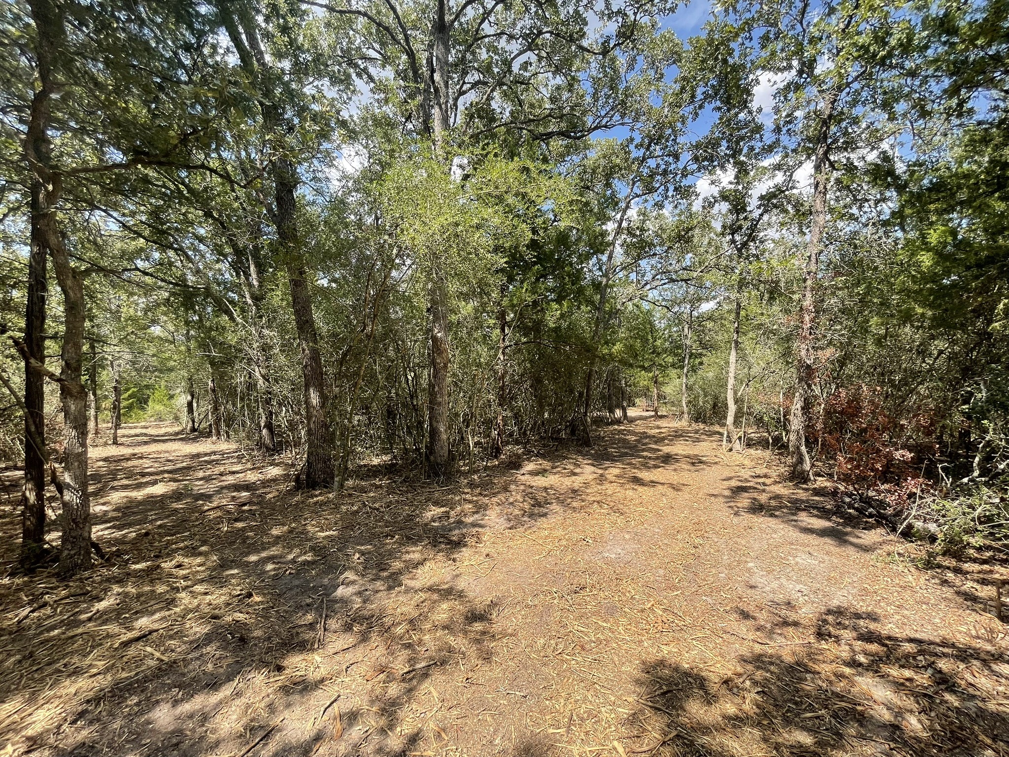 12495 Burgess Road Property Photo 21