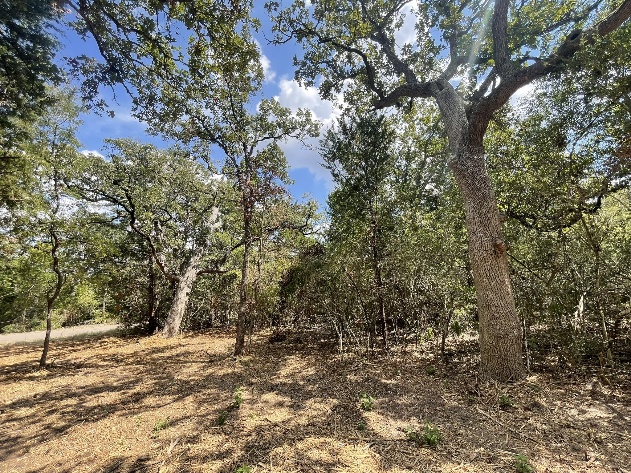 12495 Burgess Road Property Photo 22