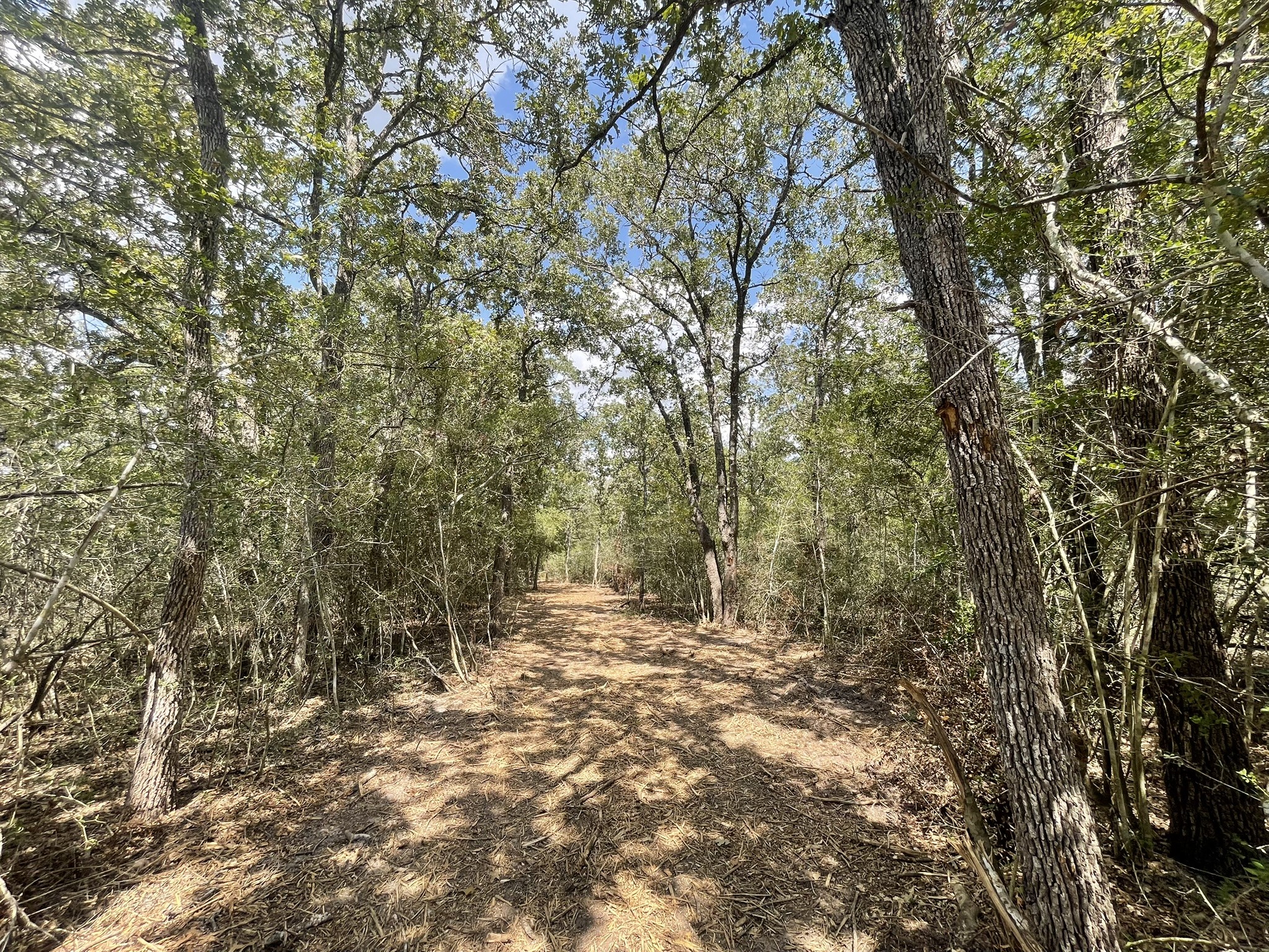 12495 Burgess Road Property Photo 23
