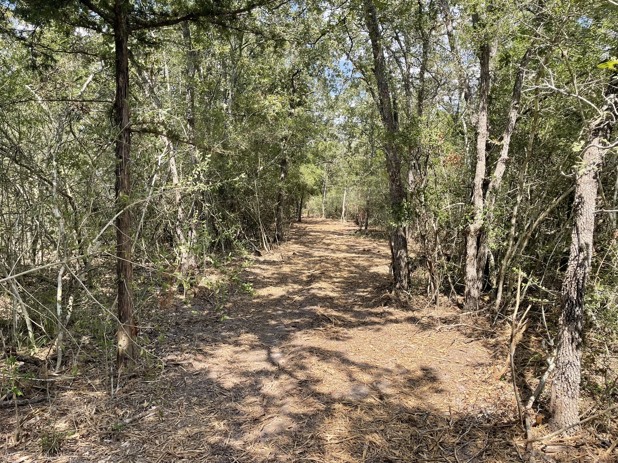 12495 Burgess Road Property Photo 24