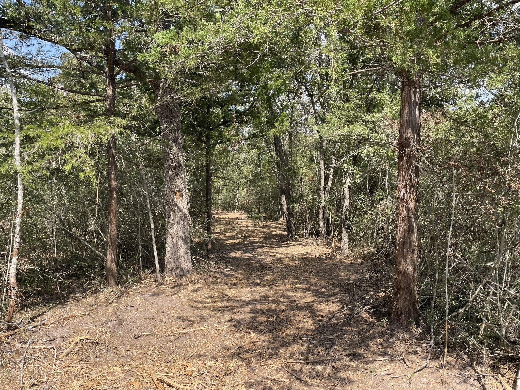 12495 Burgess Road Property Photo 25
