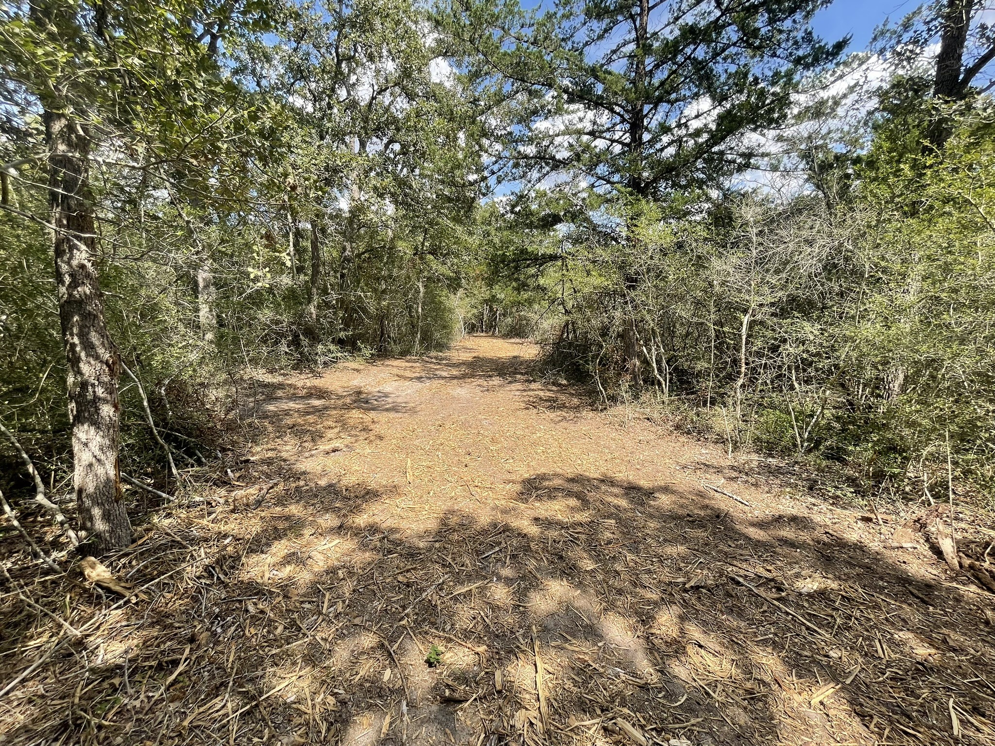 12495 Burgess Road Property Photo 26