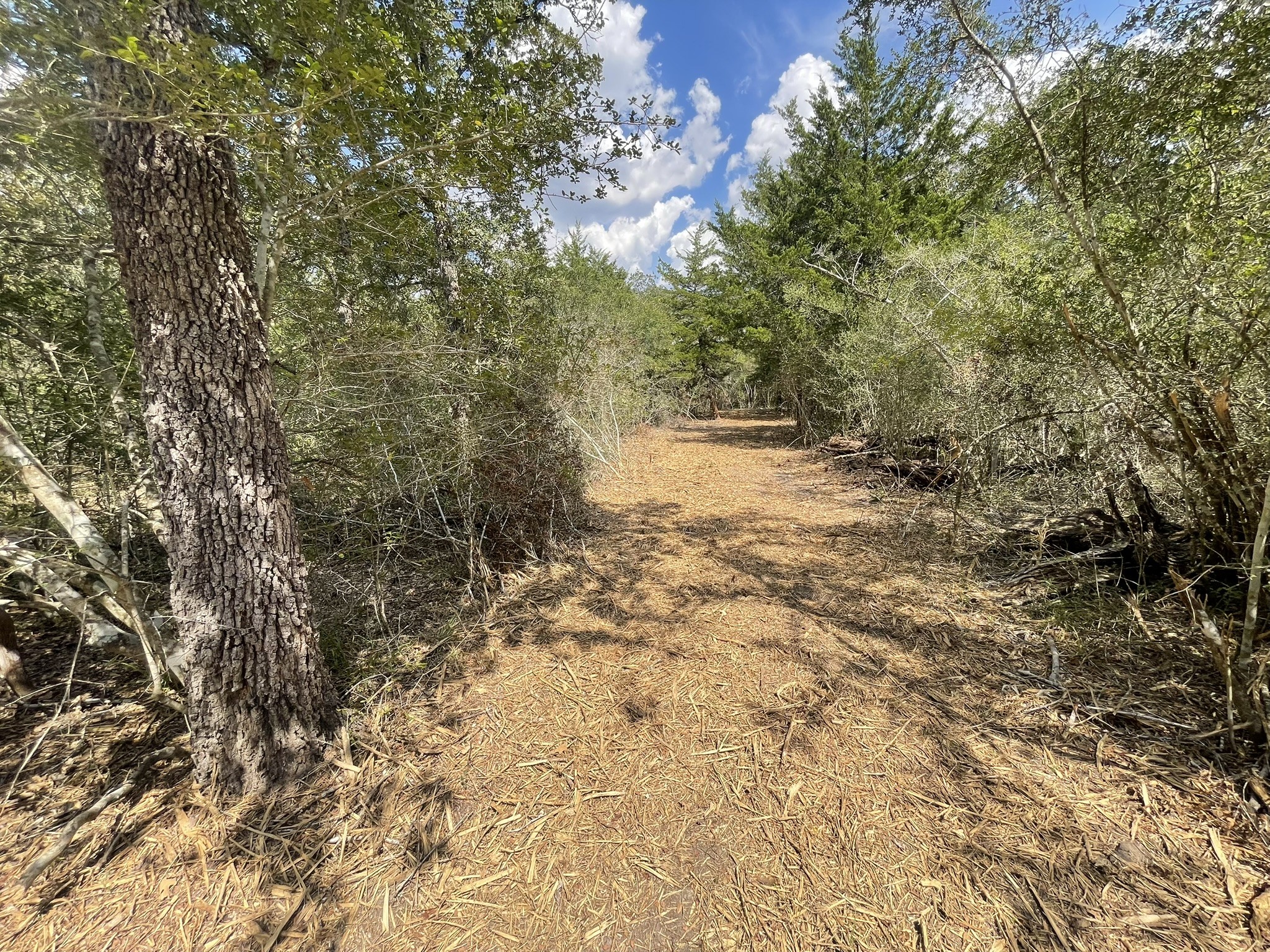 12495 Burgess Road Property Photo 27