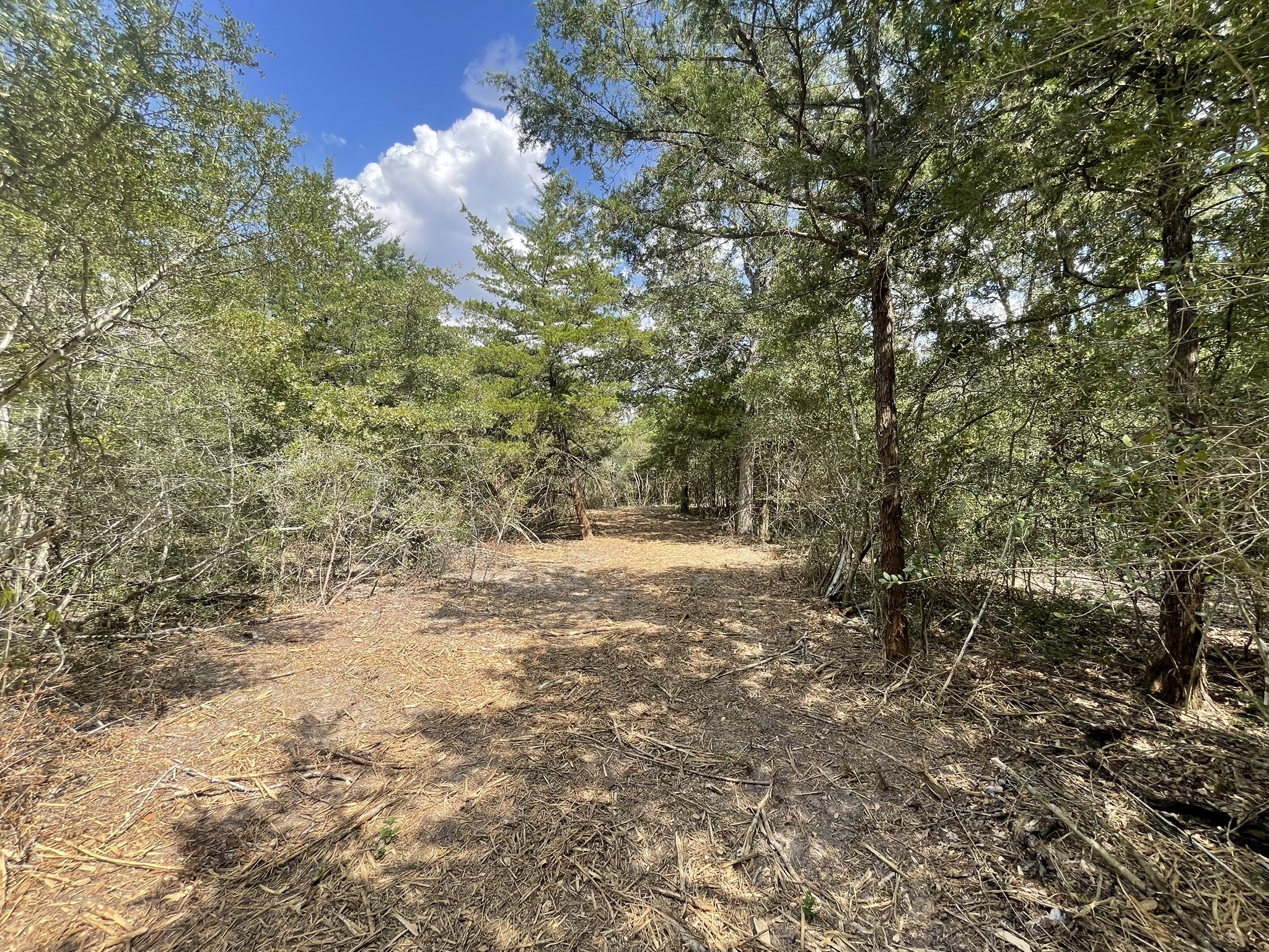 12495 Burgess Road Property Photo 28