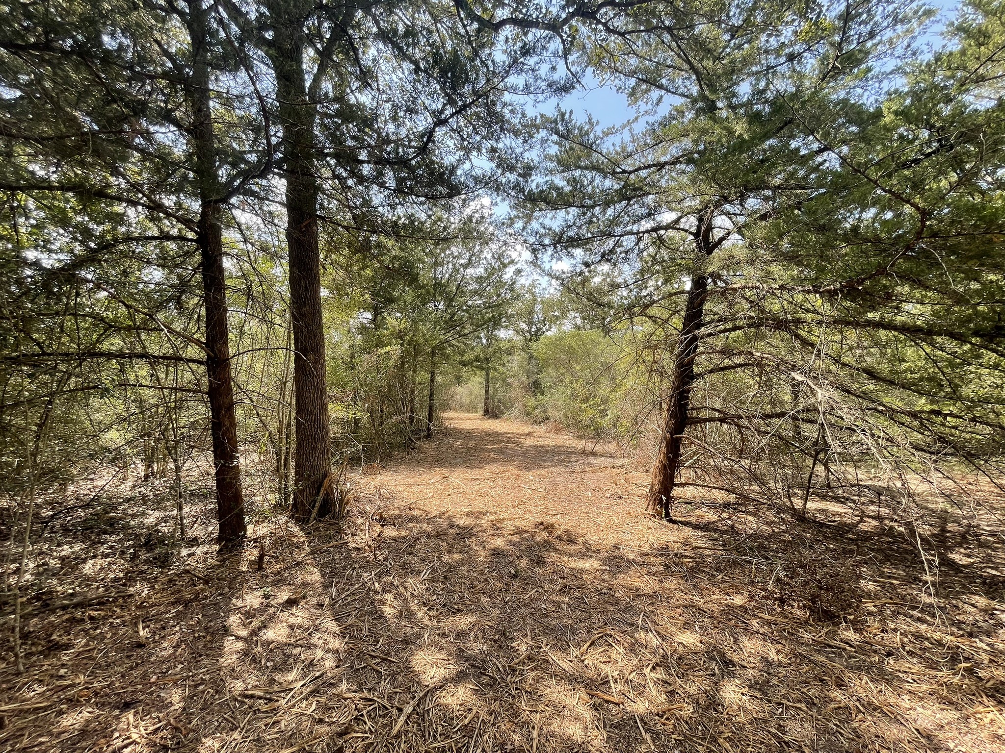 12495 Burgess Road Property Photo 30