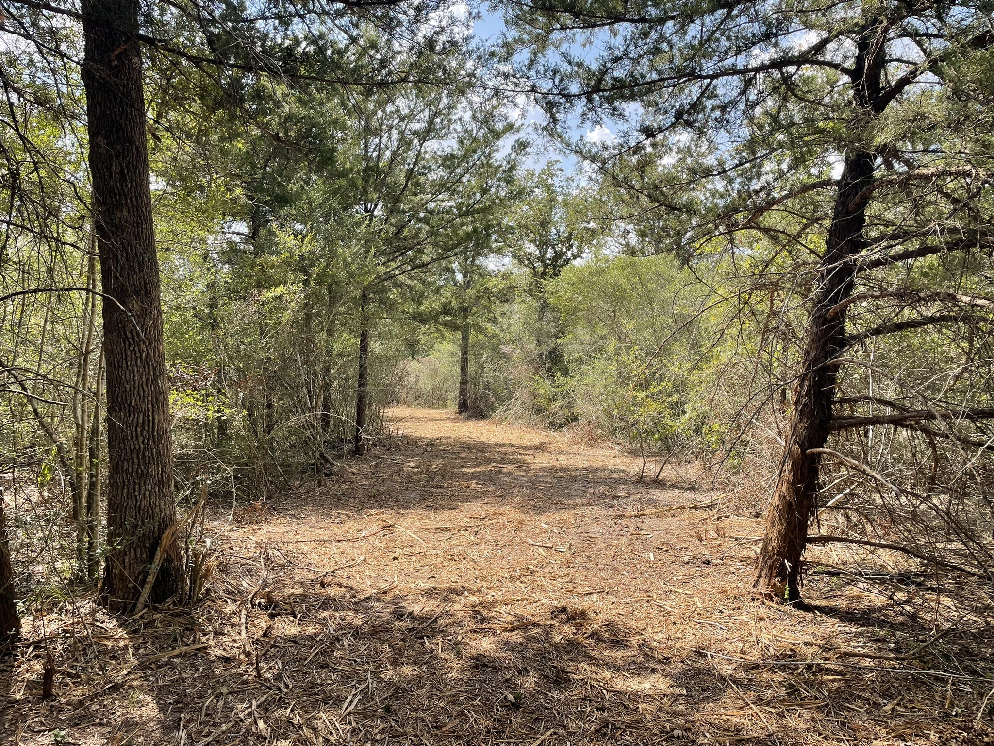 12495 Burgess Road Property Photo 31